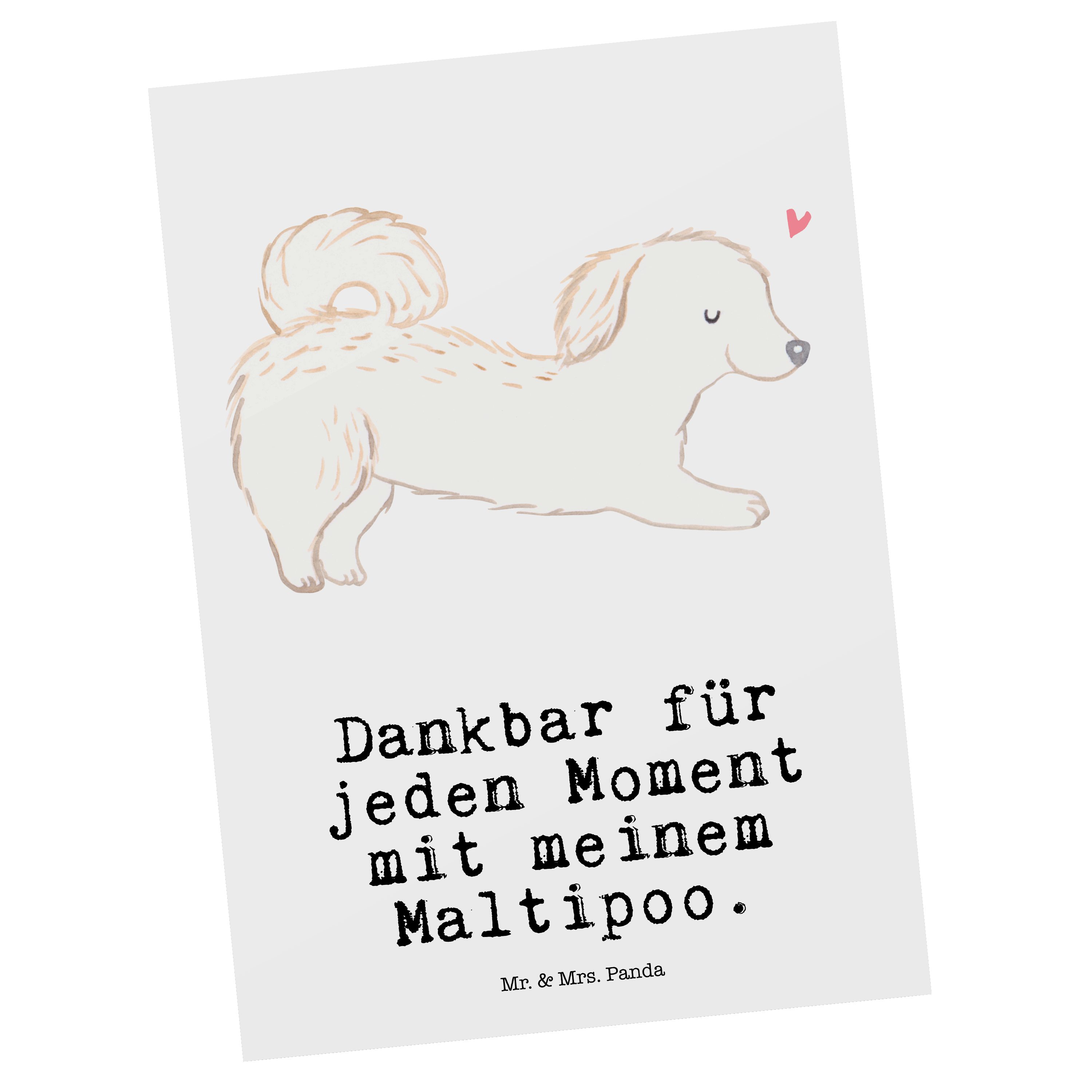 Mr. & Mrs. Panda Postkarte Maltipoo Moment - Weiß - Geschenk, Rassehund, Tierfreund, Geburtstags