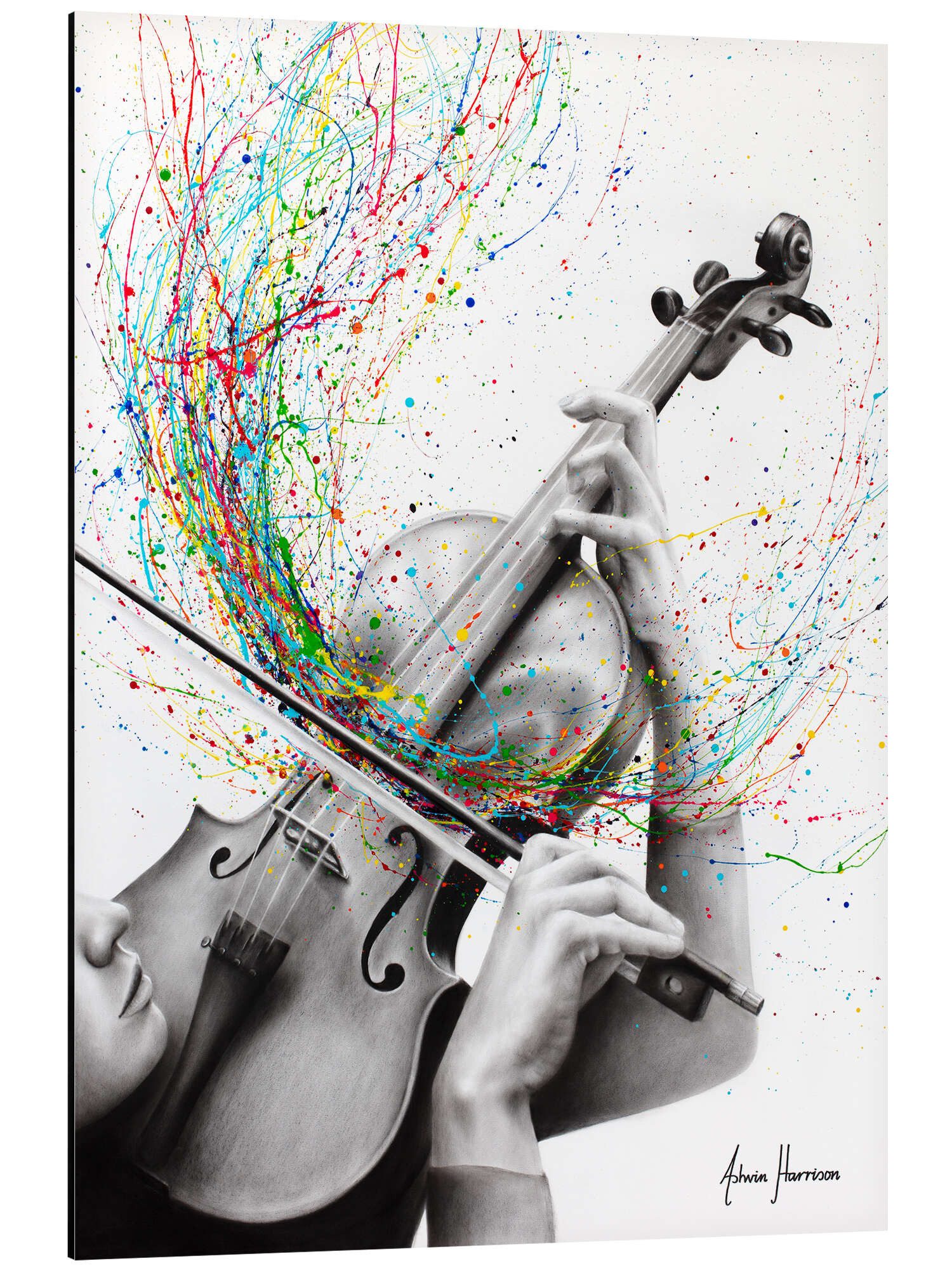 Alu-Dibond-Druck Ashvin Harrison