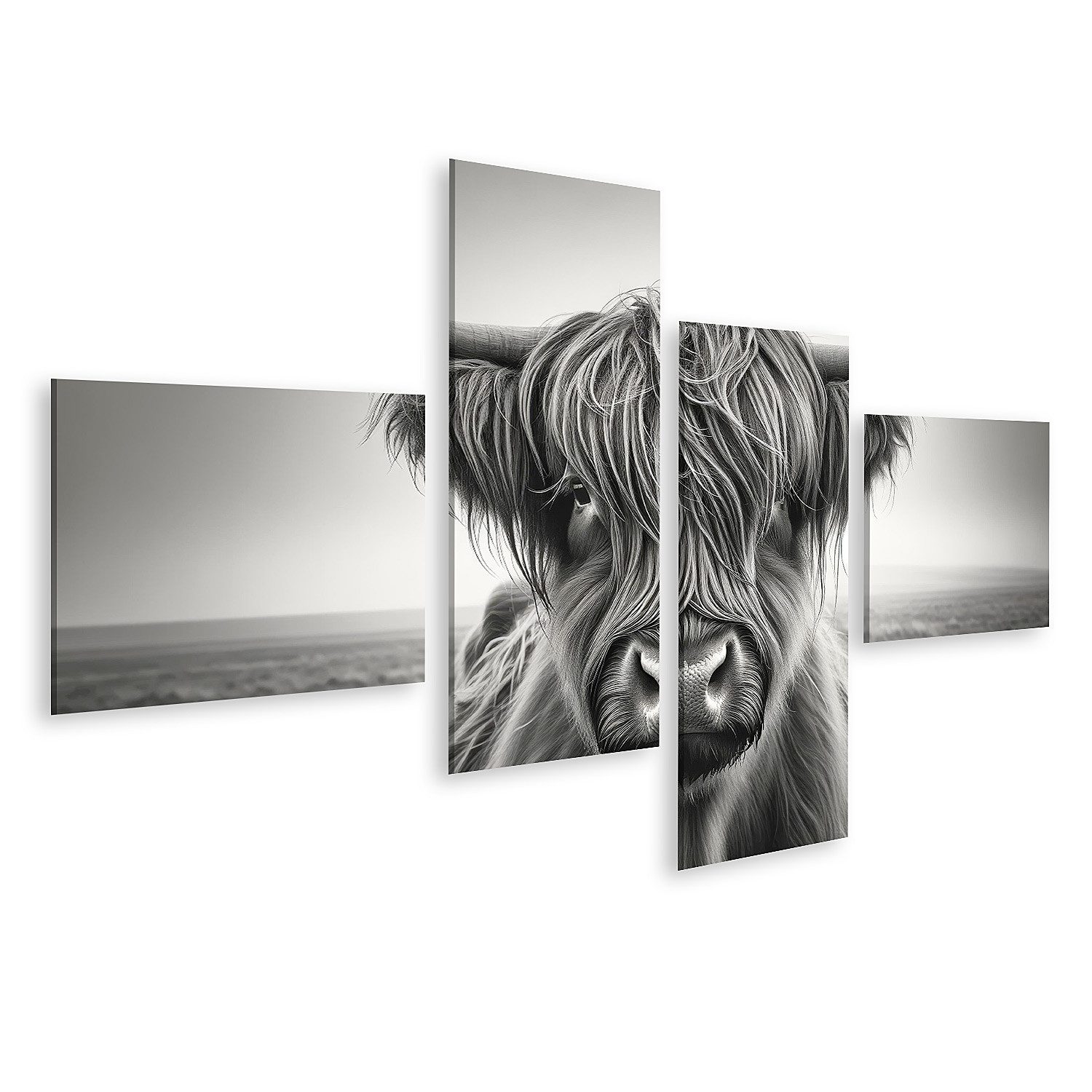 Leinwandbild Hochlandkuh mit zotteligem Haar