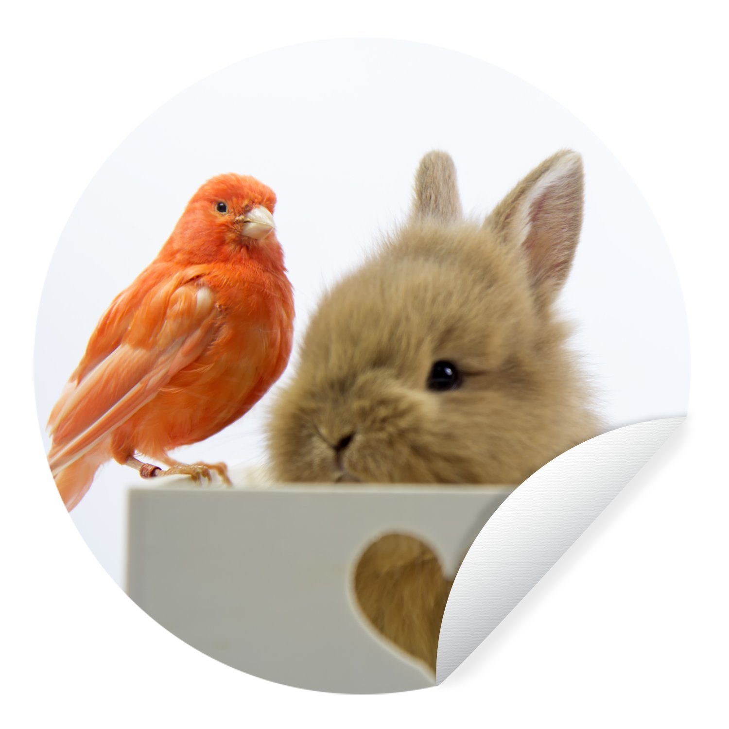 MuchoWow Wandsticker Tiere - Kaninchen - Vogel (1 St), Tapetenkreis für Kinderzimmer, Tapetenaufkleber, Rund, Wohnzimmer