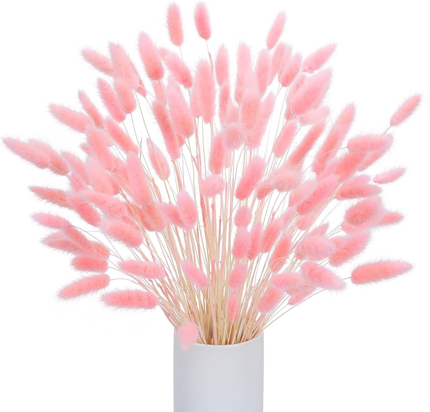 Kunstblume 120 Stück Pampasgras Klein, Hasenschwanzgras günstig online kaufen