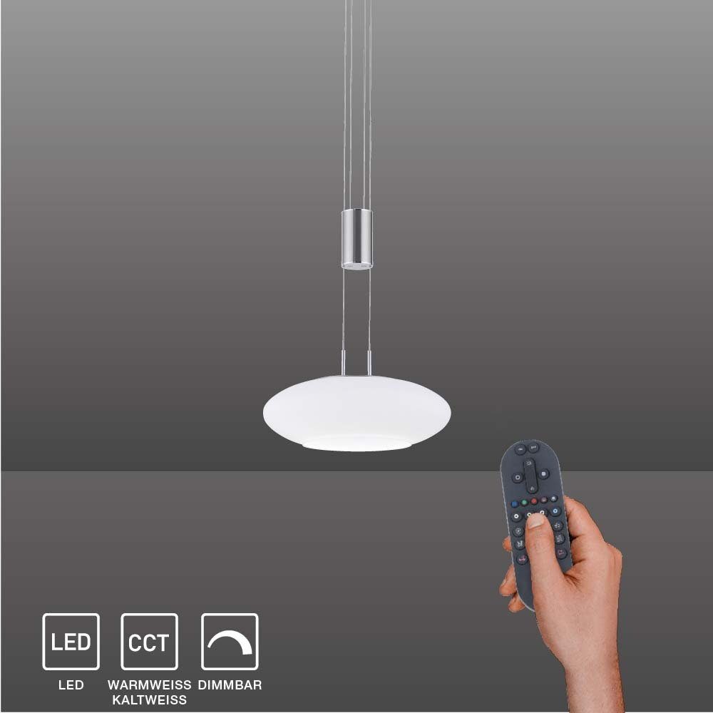 Paul Neuhaus Smarte LED-Leuchte LED Pendellampe günstig online kaufen