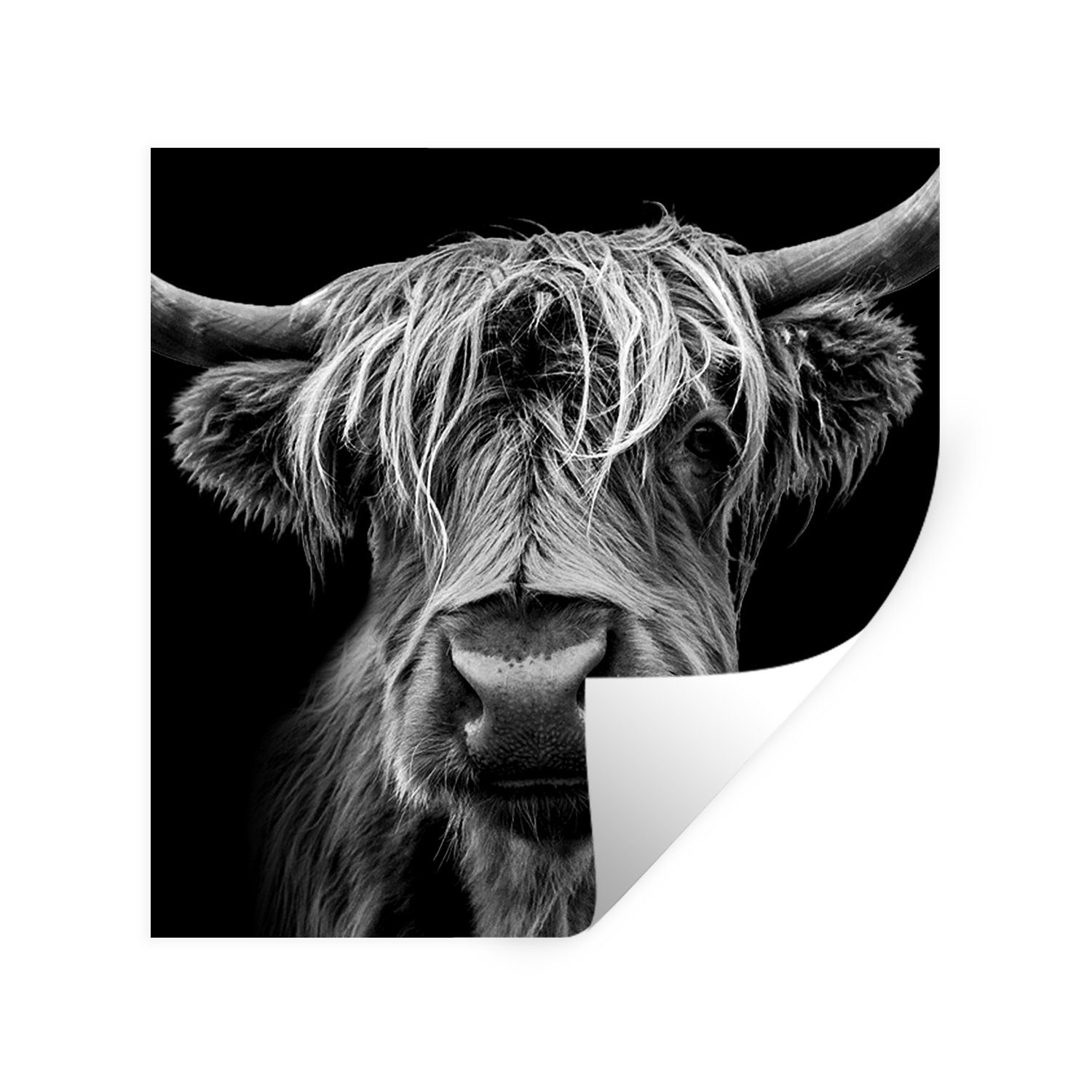 MuchoWow Wandsticker Schottischer Highlander - Hörner - Schwarz - Weiß - Kuh - Wild - Tiere (1 St), Wandaufkleber, Wandtattoo, Selbstklebend, Wohnzimmer, Schlafzimmer
