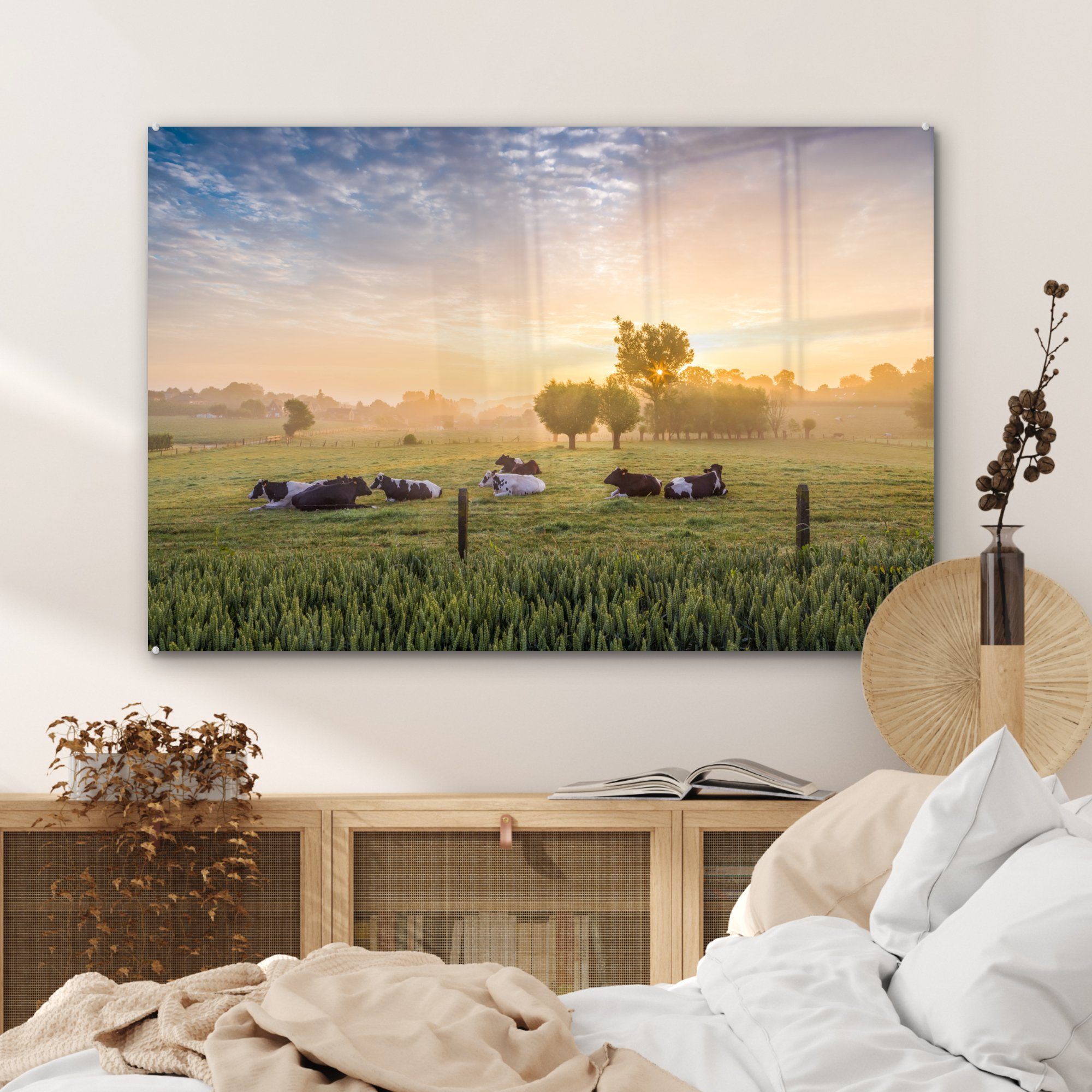 Sonne Gras, Wohnzimmer & (1 - - MuchoWow Acrylglasbild Acrylglasbilder St), Schlafzimmer Kuh