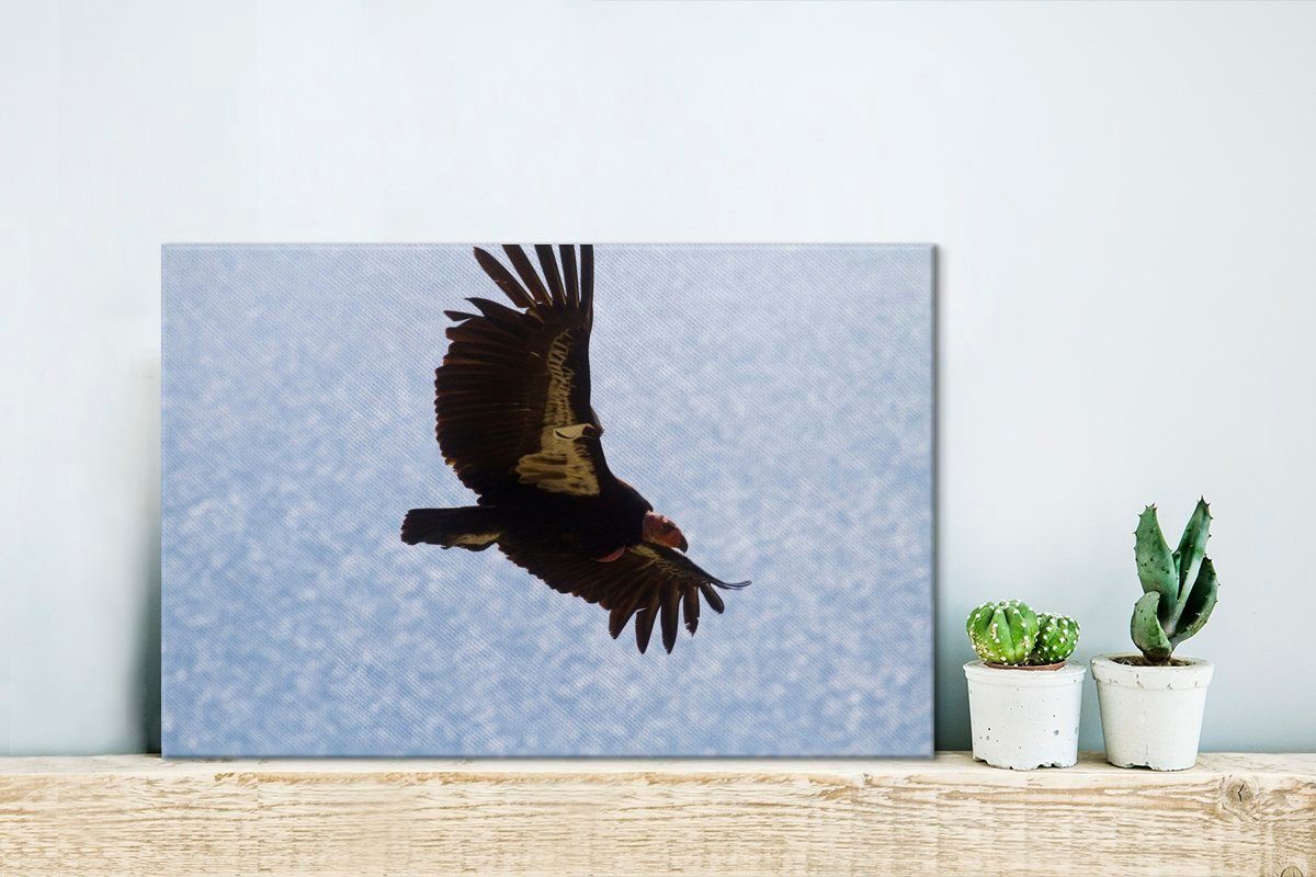 (1 Leinwandbild 30x20 Wanddeko, cm das Wasser, St), kalifornischer Ein Leinwandbilder, Wandbild Aufhängefertig, fliegt Kondor über OneMillionCanvasses®