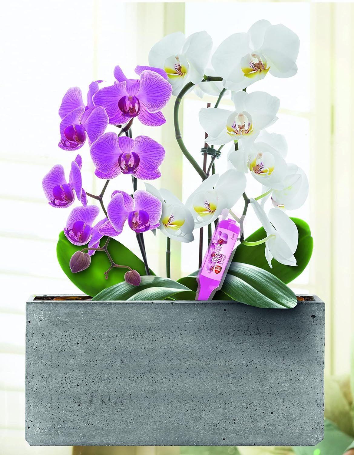 Protect Garden Blumendünger Protect Garden Beautykur Orchideendünger, 20 ml