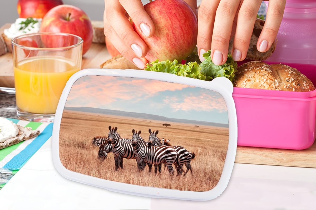 MuchoWow Lunchbox Zebras auf dem rosa Kunststoff Kinder, Snackbox, Lande, für Kunststoff, (2-tlg), Brotbox Brotdose Mädchen, Erwachsene