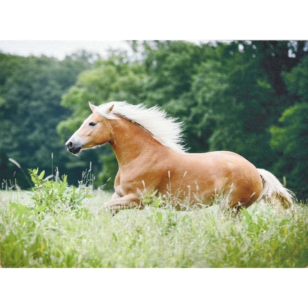 Traumduft-Manufaktur Platzset Haflinger, (1-St), Platzdeckchen Deko-Set Unterlage waschbar