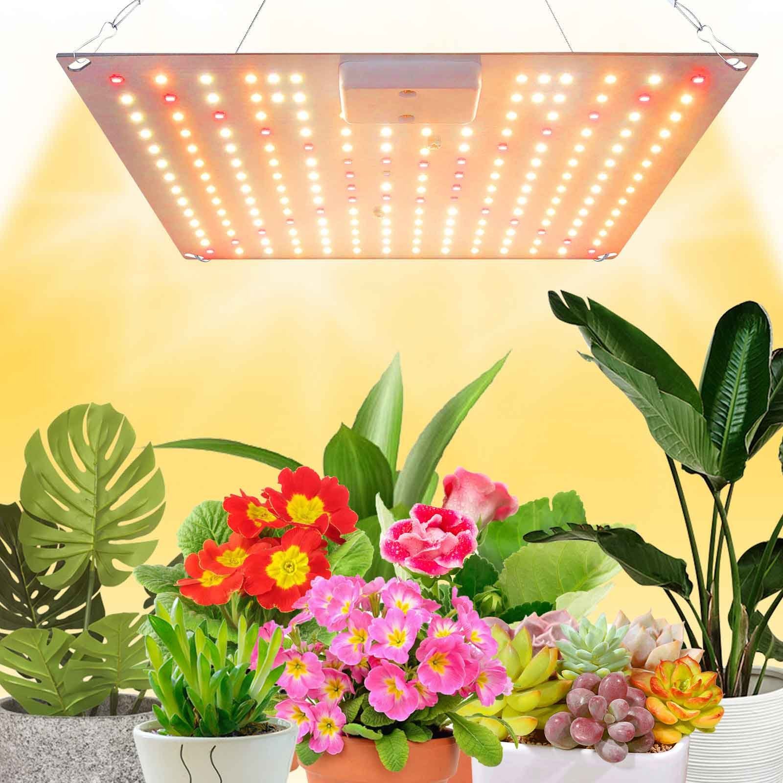 Sunicol Pflanzenlampe Vollspektrum Pflanzenlicht, Zimmerpflanzen Blumen  Grow Light, Kleine Größe: 25W, 3000K Warm White, 5000K White, 620nm Red,  385nm UV, 730nm IR, 25W-65W