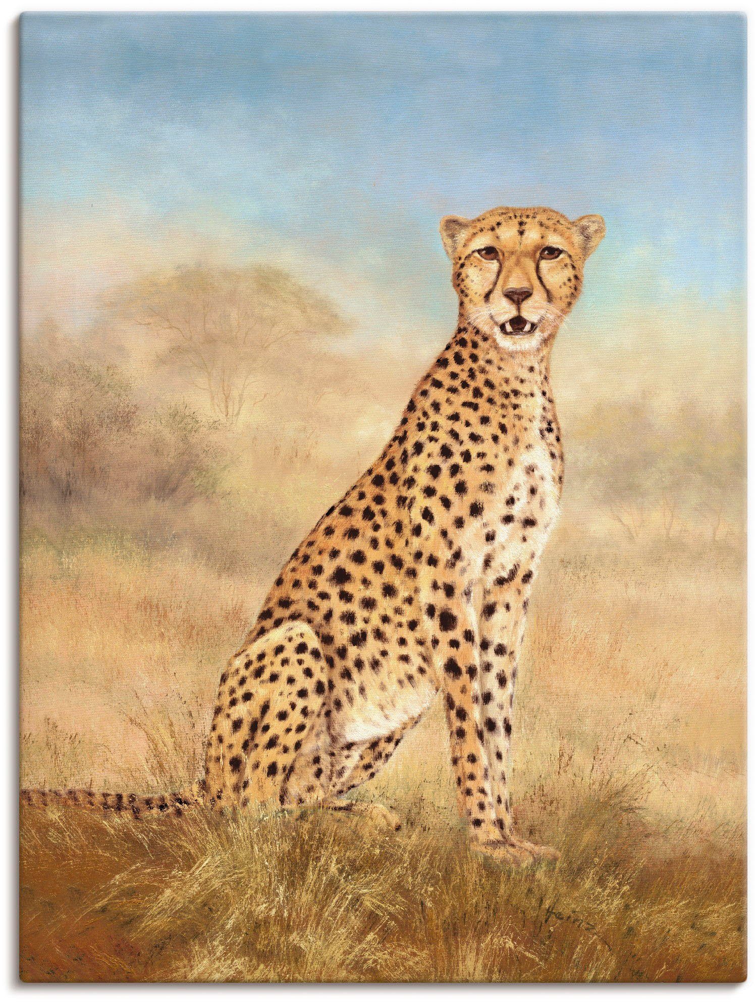 Artland Wandbild Gepard Savanne, Wildtiere (1 St), als Alubild, Leinwandbild, Wandaufkleber oder Poster in versch. Größen | Poster