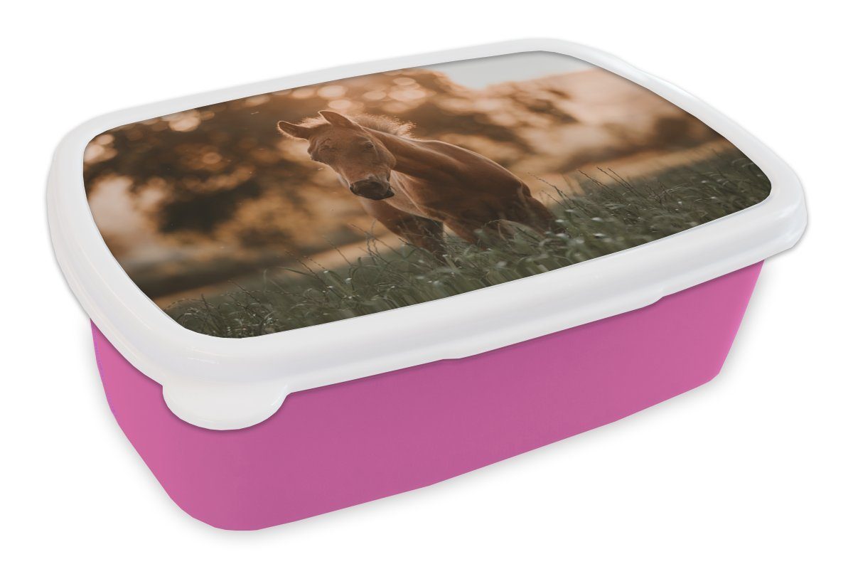 MuchoWow Lunchbox Pferd - Licht - Landschaft, Kunststoff, (2-tlg), Brotbox für Erwachsene, Brotdose Kinder, Snackbox, Mädchen, Kunststoff rosa