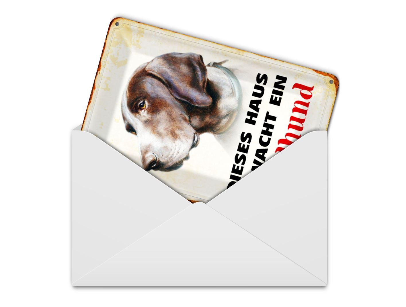 Femer GmbH Postkarte Hund 10x14 cm dieses Haus bewacht ein Jagdhund, unfrankiert