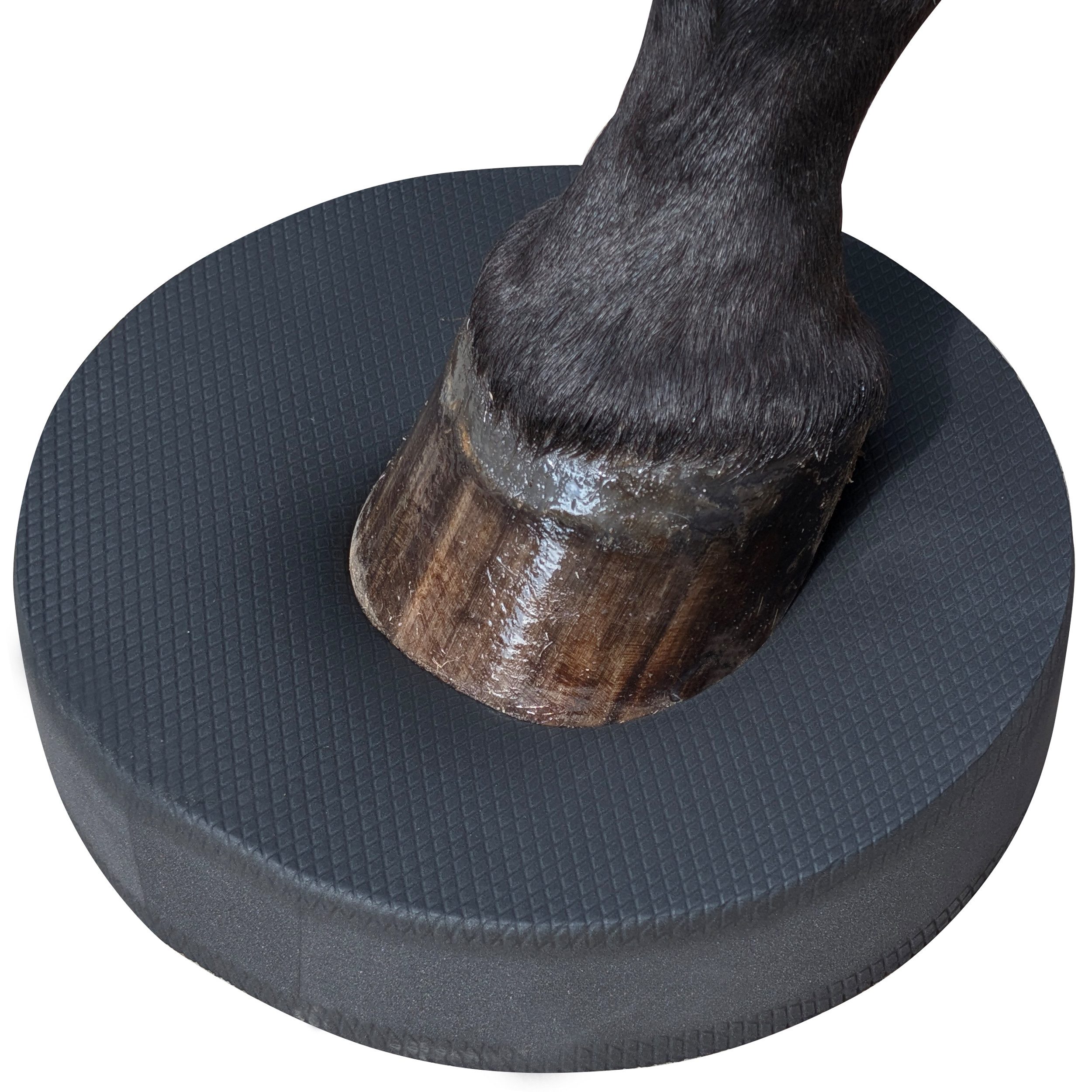 Superhund Balancetrainer Pferde Balance Pad Dunkelgrau – Balance & Koordination – 28 cm