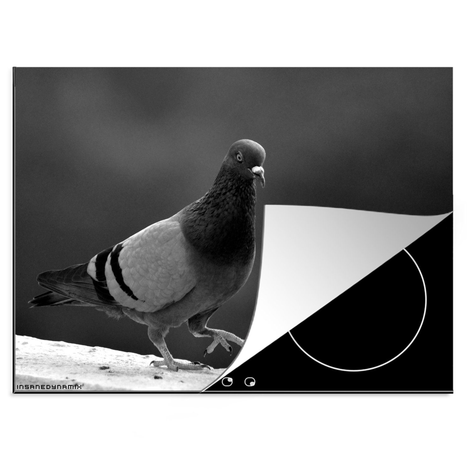 MuchoWow Herdblende-/Abdeckplatte Taube beim Spaziergang an einem sonnigen Nachmittag - schwarz und weiß, Vinyl, (1 tlg), 70x52 cm, Mobile Arbeitsfläche nutzbar, Ceranfeldabdeckung