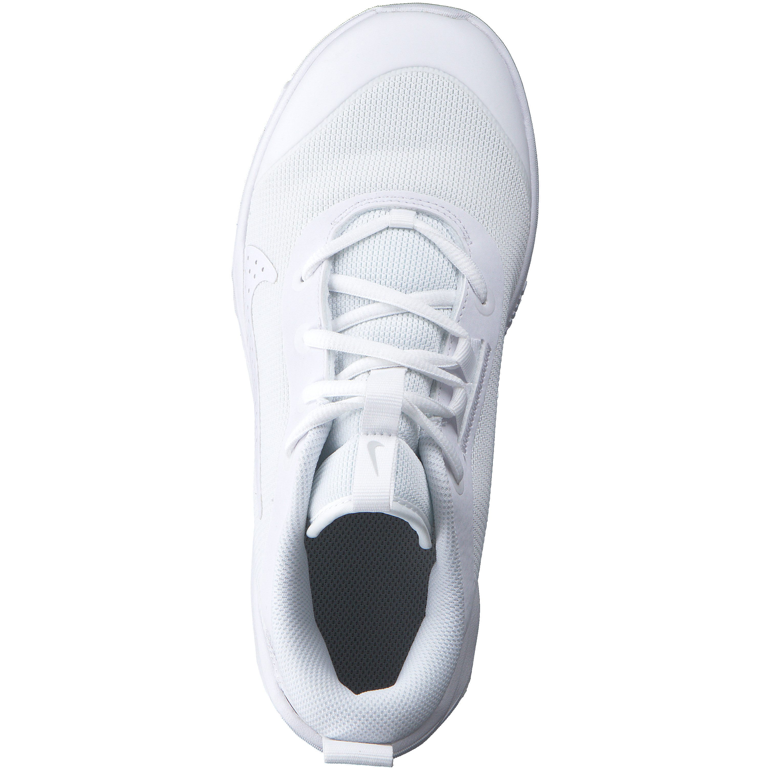 Nike Nike Kinder Hallenschuhe Omni Multi-Court DM9027 Hallenschuh – Bild 5 von 5