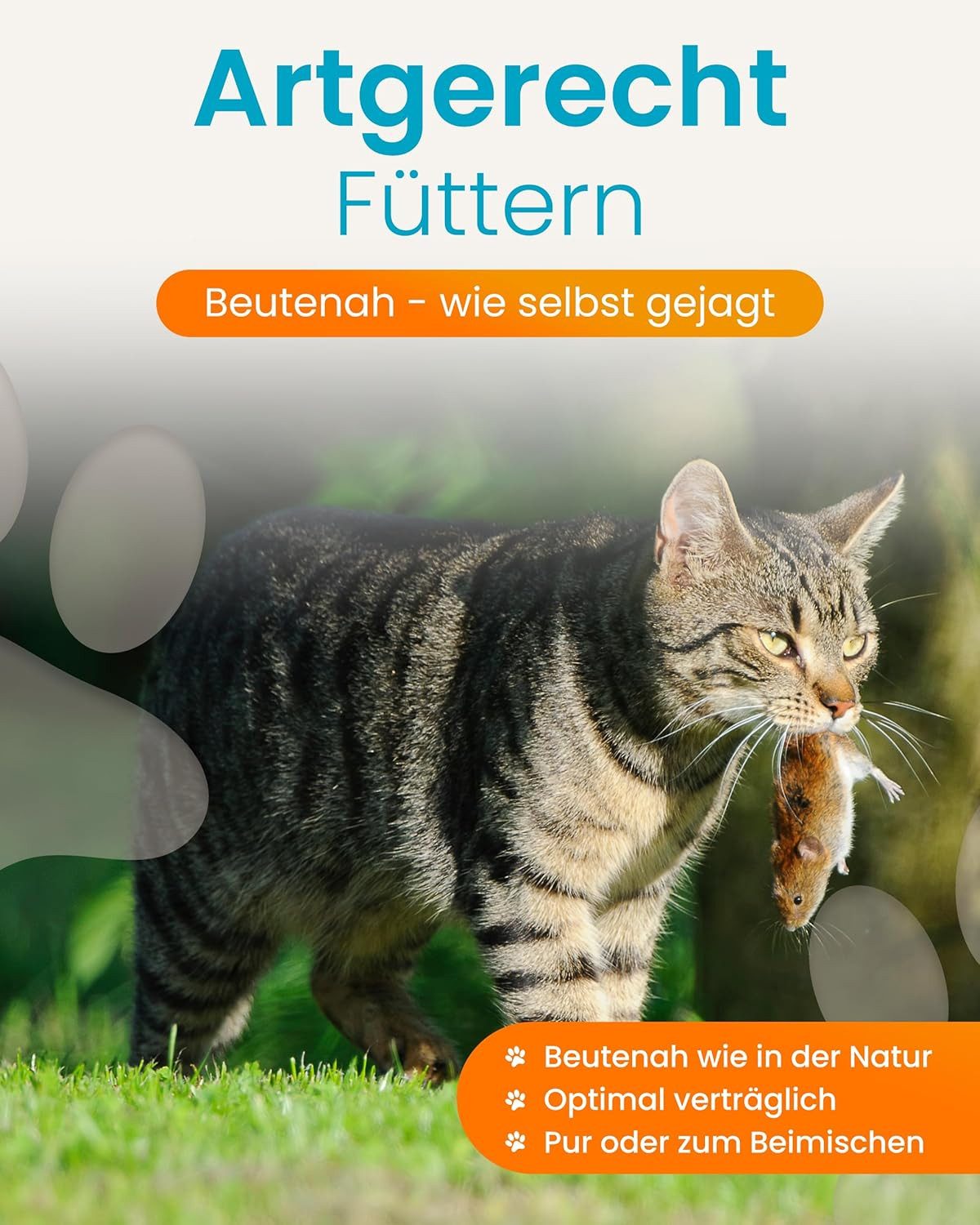 Lucky-Kitty Katzenfutter "Maus Pur", 100% gewolfte Maus, maximal artgerecht 12x100g, Nassfutter für: Katzen, Aus kontrollierter Haltung, getreidefrei, zuckerfrei, hypoallergen