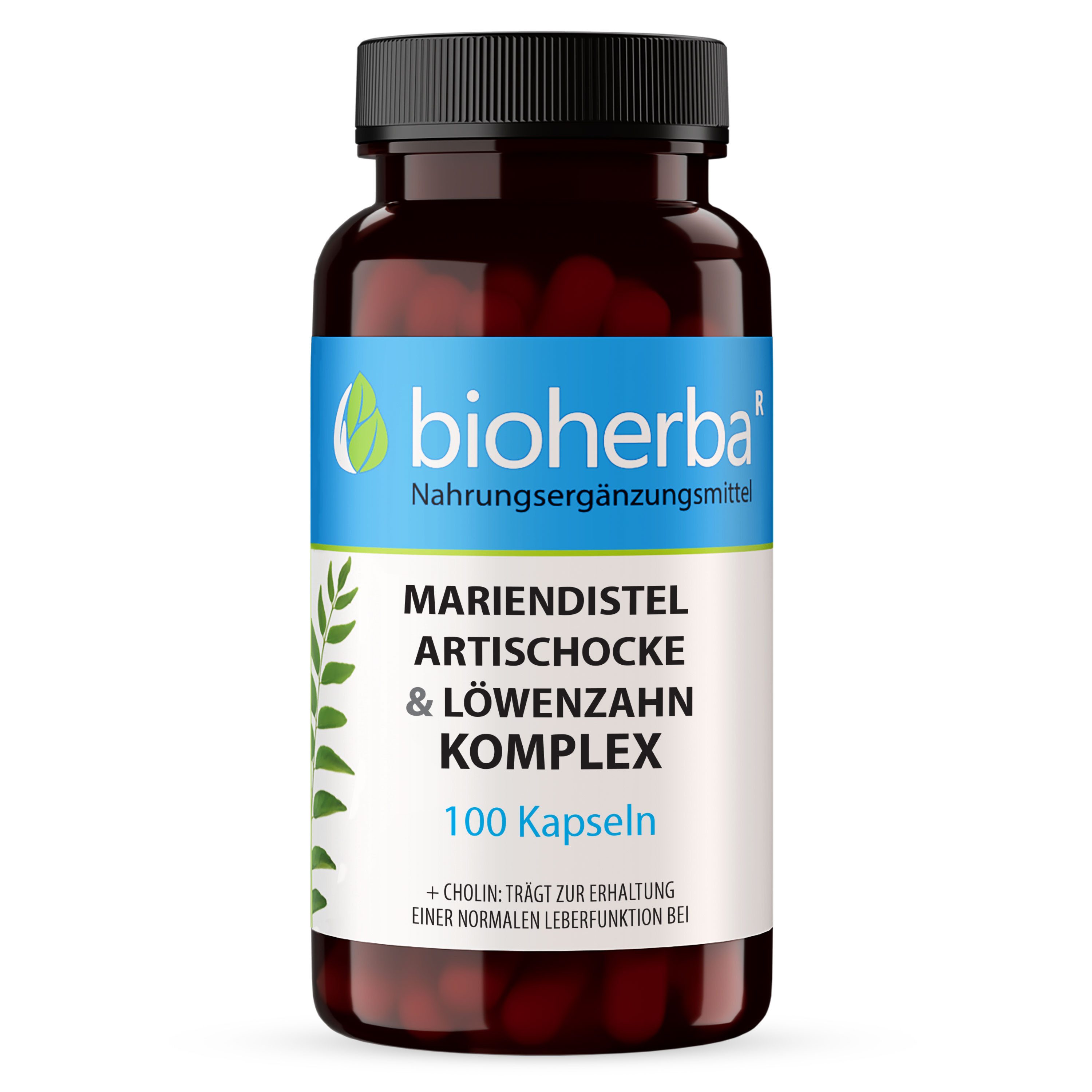 BIOHERBA R Bioherba Mariendistel, Artischocke & Löwenzahn Komplex 100 Kapseln Kapseln, 1 er