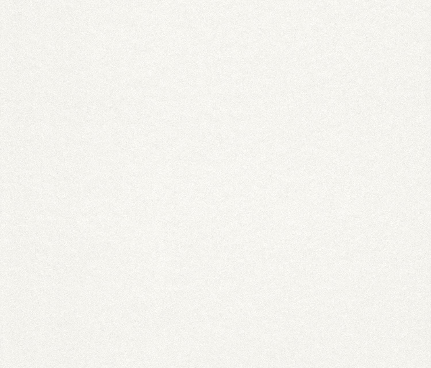 Rasch Malervlies Rasch Malervlies "Creativ-Vlies" 150g – Premium Glattvlies (10,00 x
