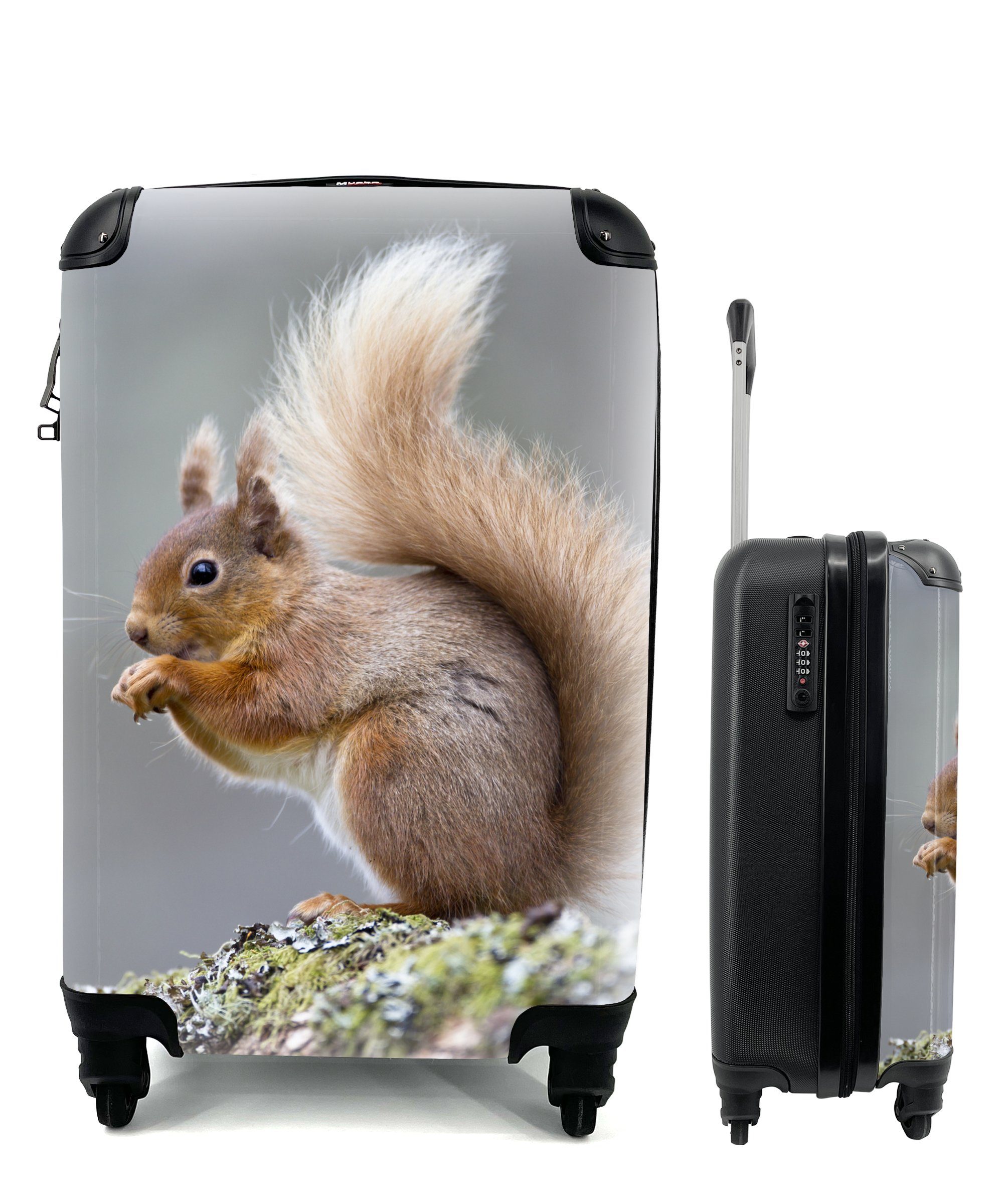 MuchoWow Handgepäckkoffer Weibliches rotes Eichhörnchen, 4 Rollen, Reisetasche mit rollen, Handgepäck für Ferien, Trolley, Reisekoffer