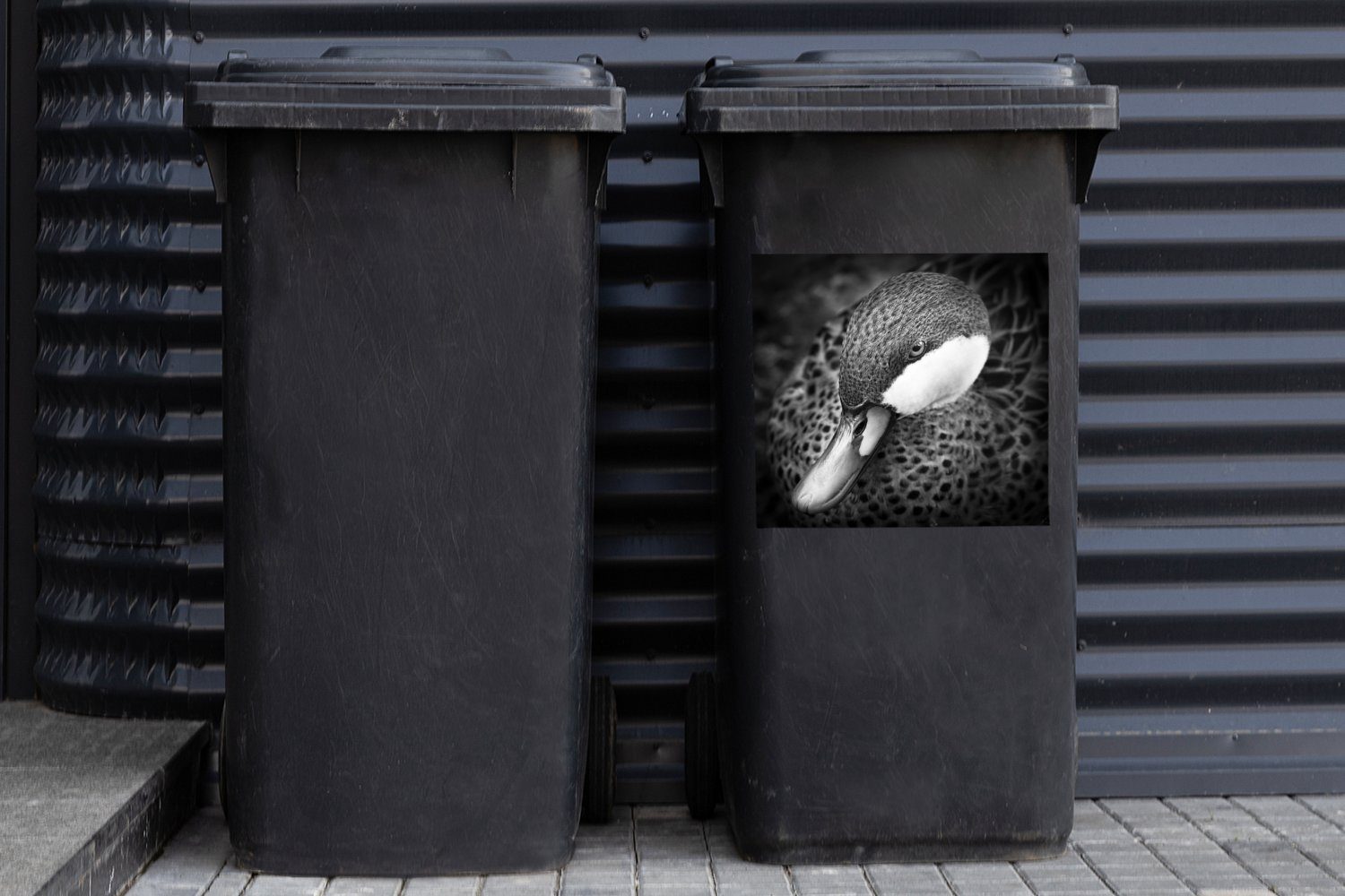MuchoWow Wandsticker Abfalbehälter Mülleimer-aufkleber, Bahamas-Spießente Nahaufnahme St), Container, Mülltonne, einer Eine Sticker, (1
