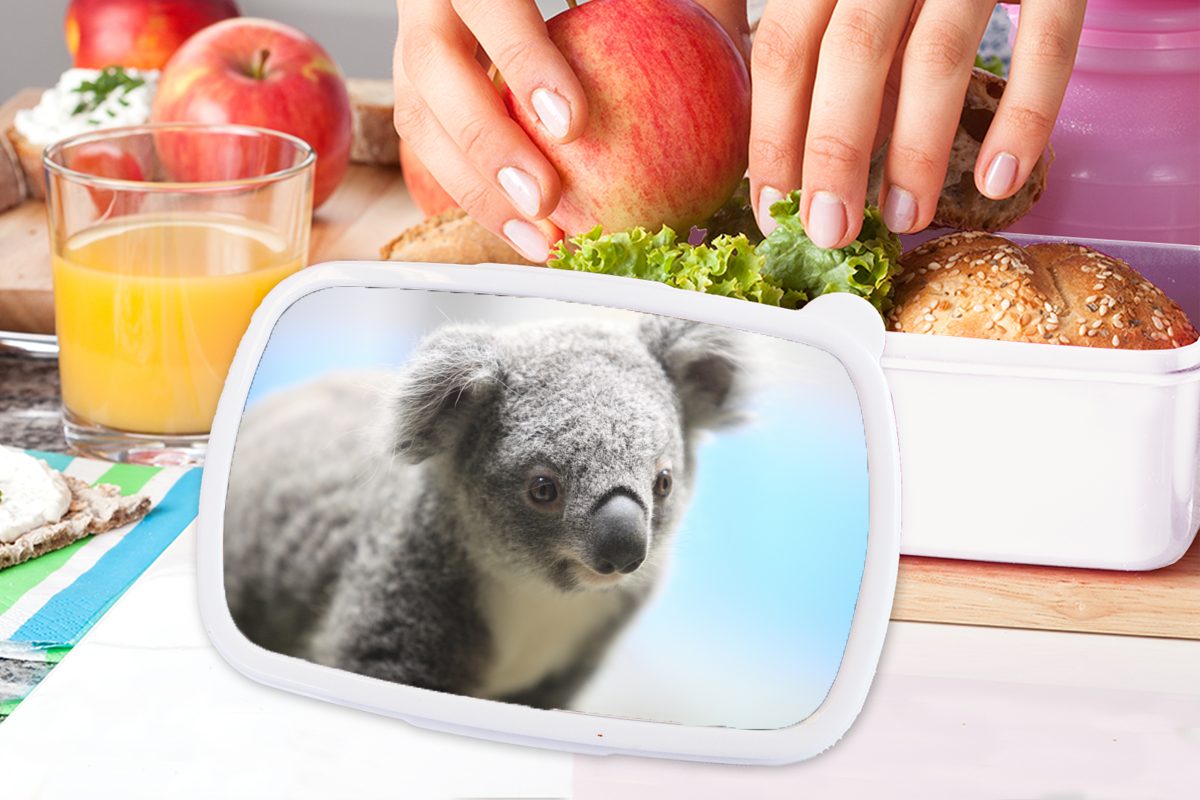 MuchoWow Lunchbox Koala - und Kinder - Erwachsene, für Brotdose, Mädchen, - - Brotbox für Tier (2-tlg), Porträt Jungen - weiß Kunststoff, Jungs Mädchen und Kinder