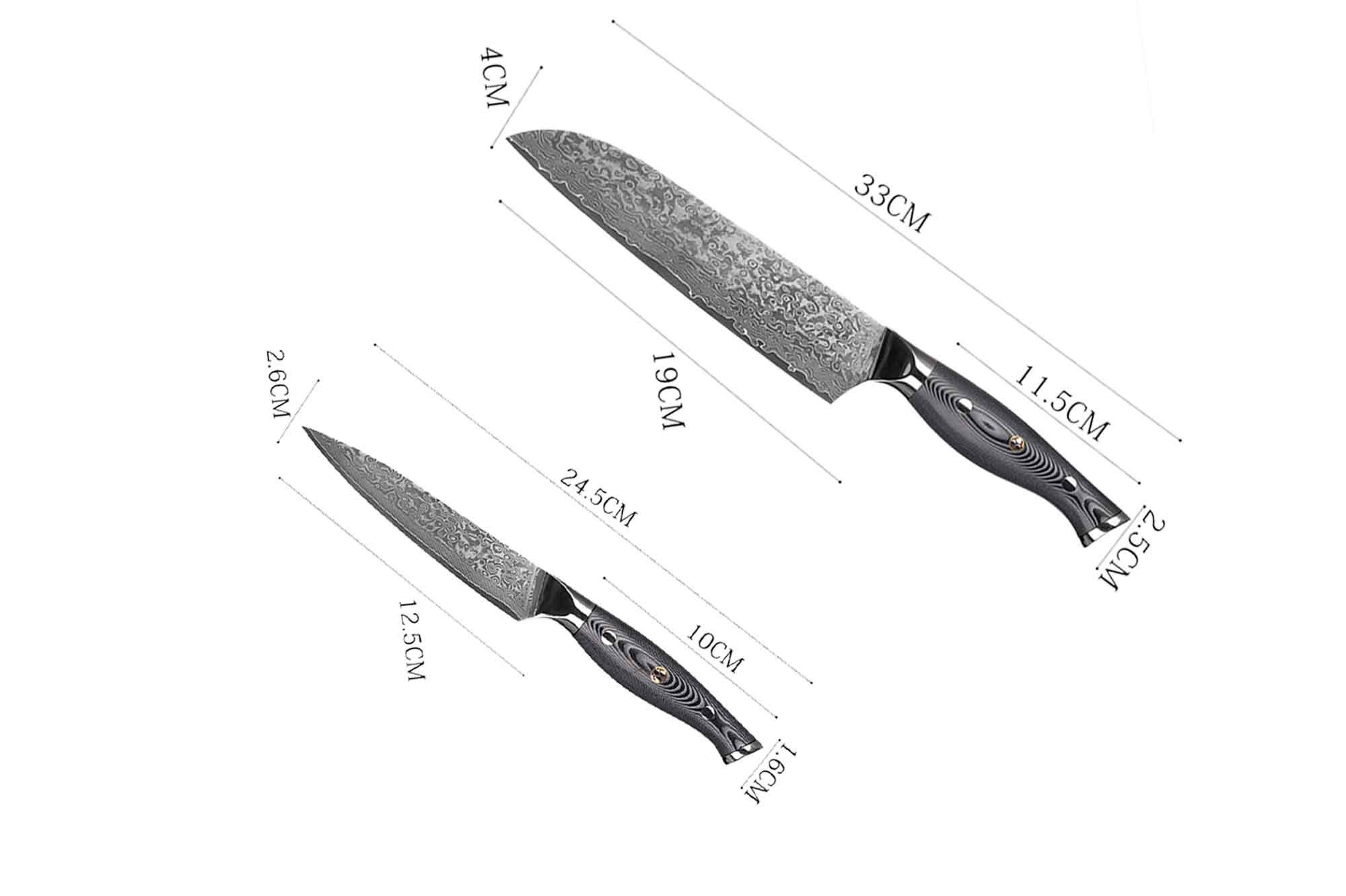 Muxel Ausbeinmesser Damast Set 62 Edelstahl V10 Lagen Messer 2-tlg