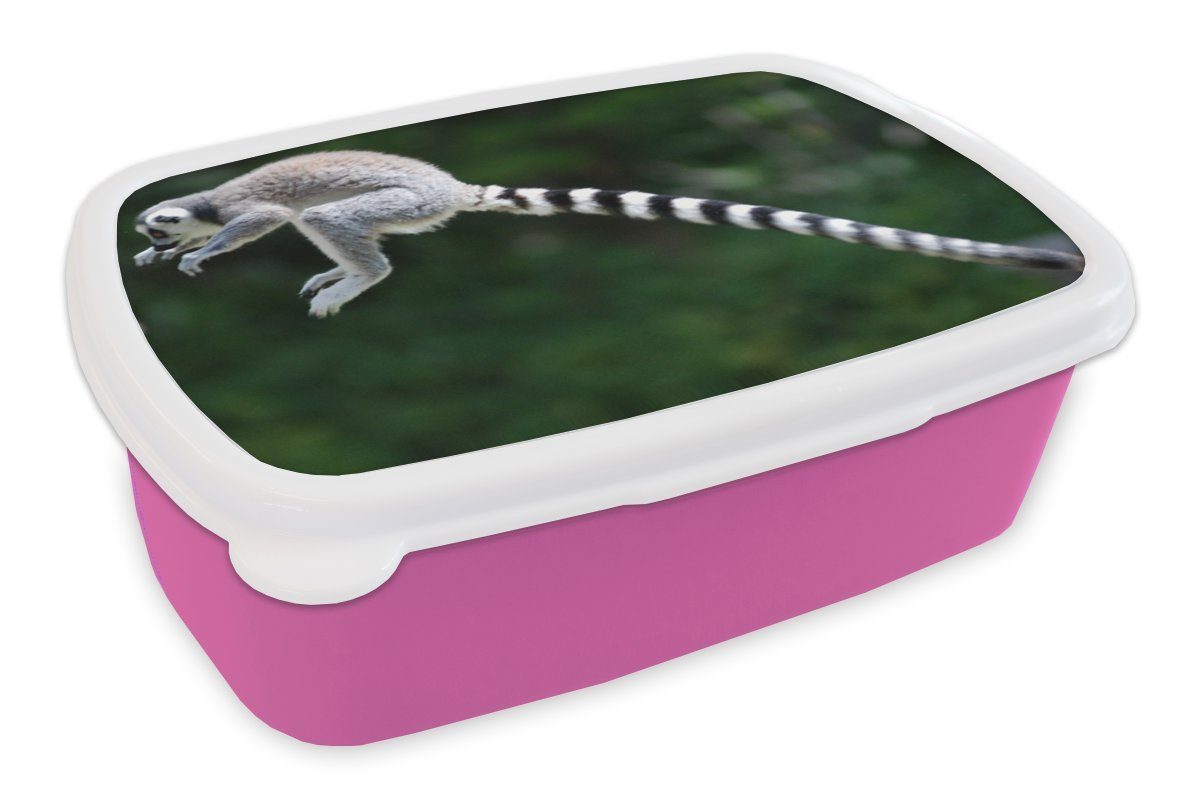 Affe - Kunststoff, - Brotbox Erwachsene, Mädchen, rosa Brotdose Snackbox, für Lunchbox (2-tlg), Wald, Kunststoff Ringschwanzlemur Kinder, MuchoWow