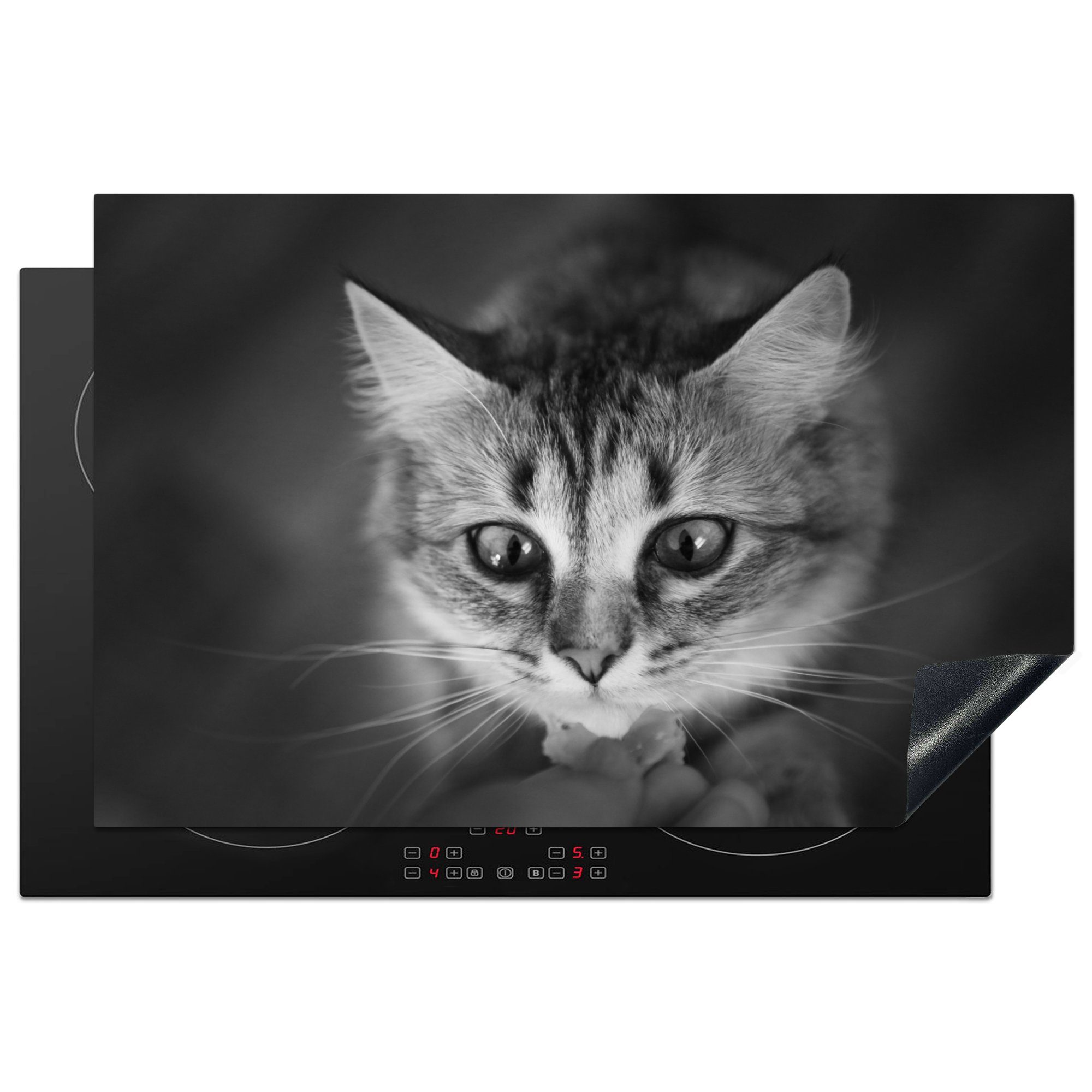 MuchoWow Herdblende-/Abdeckplatte Tierprofil riechende Katze in schwarz und weiß, Vinyl, (1 tlg), 81x52 cm, Induktionskochfeld Schutz für die küche, Ceranfeldabdeckung