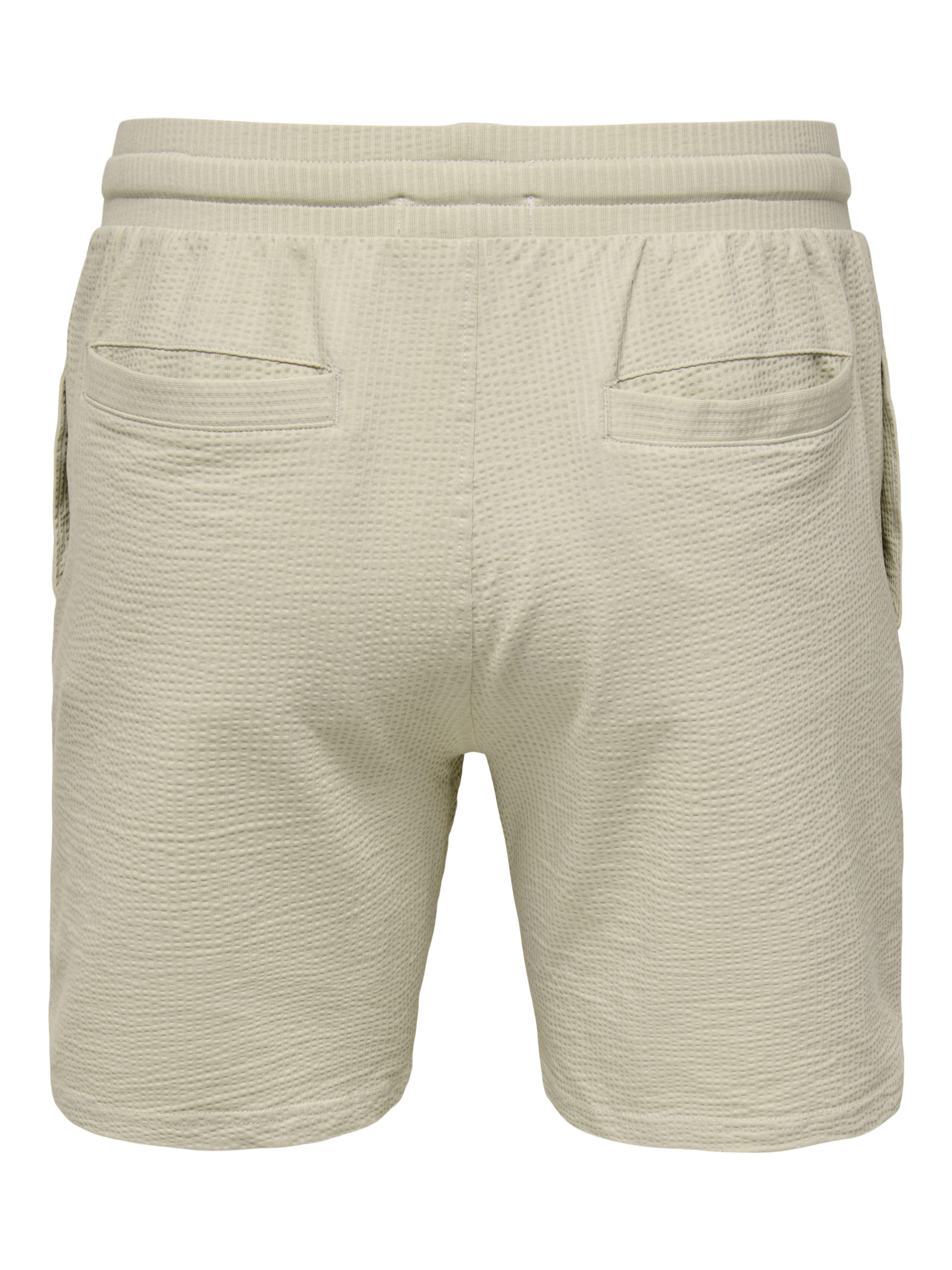 ONLY & SONS Shorts ONSKIAN LIFE REG SEERSUCKER SHORTS NOOS