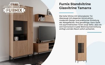 Furnix Standvitrine Tamarra WIT70 Glasvitrine, Hochvitrine mit Glastür Holzfurniertür B70 x H190 x T41 cm, modernes industrial clear Design