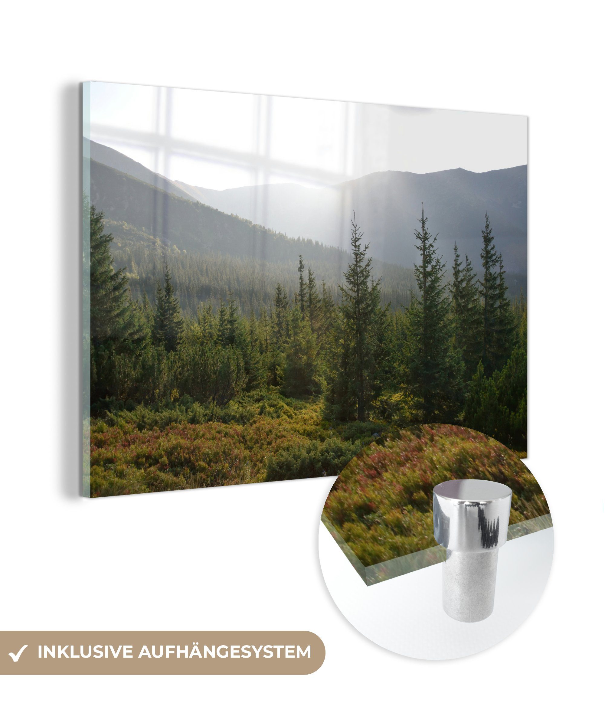 MuchoWow Acrylglasbild Die neblige Landschaft des Tatra-Nationalparks in der Slowakei, (1 St), Acrylglasbilder Wohnzimmer & Schlafzimmer