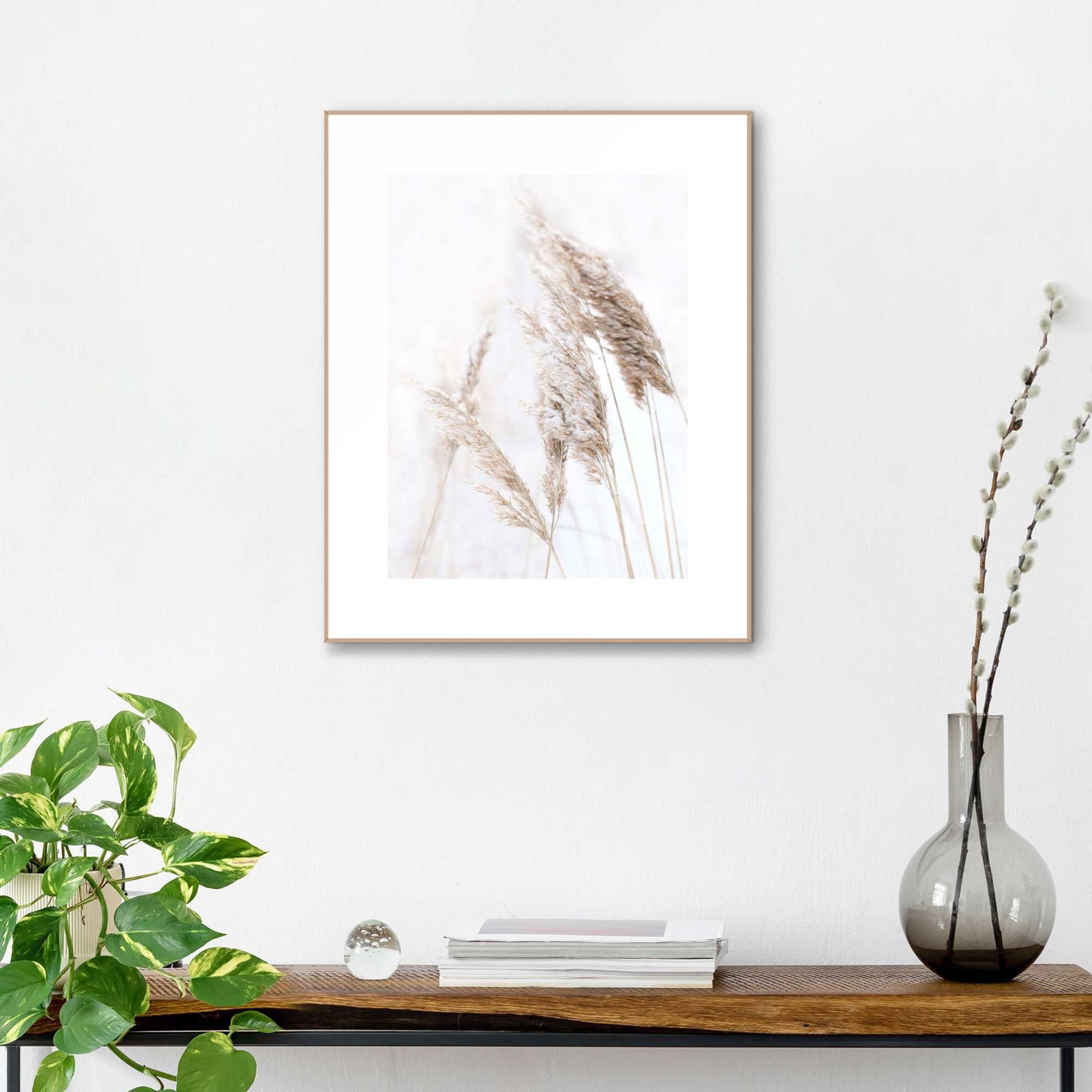 Reinders! Kunstdruck Pampasgras günstig online kaufen