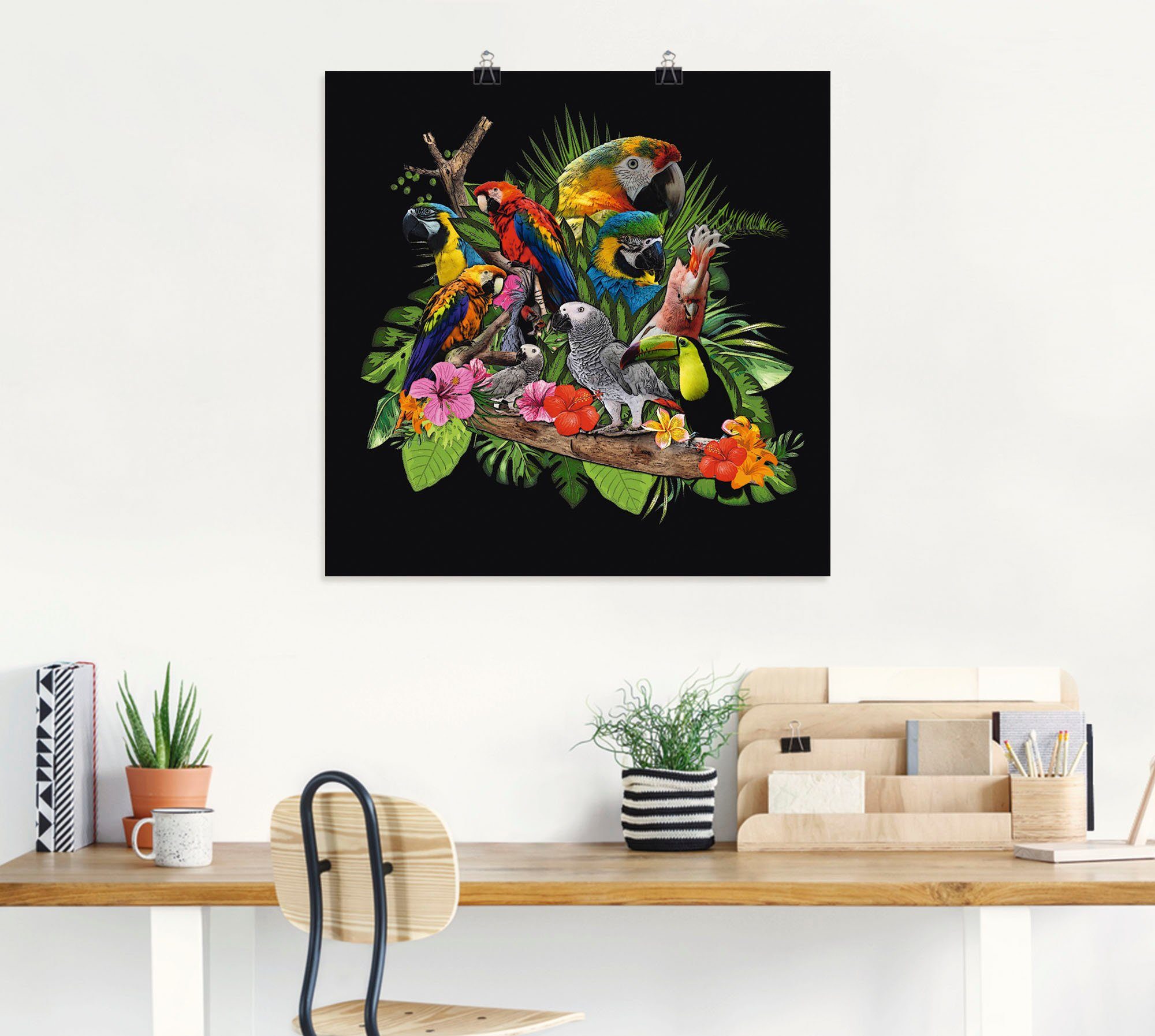 Artland Wandbild Papageien Graupapagei Größen als Kakadu oder Poster Leinwandbild, St), (1 versch. Vögel Alubild, Dschungel, Wandaufkleber in