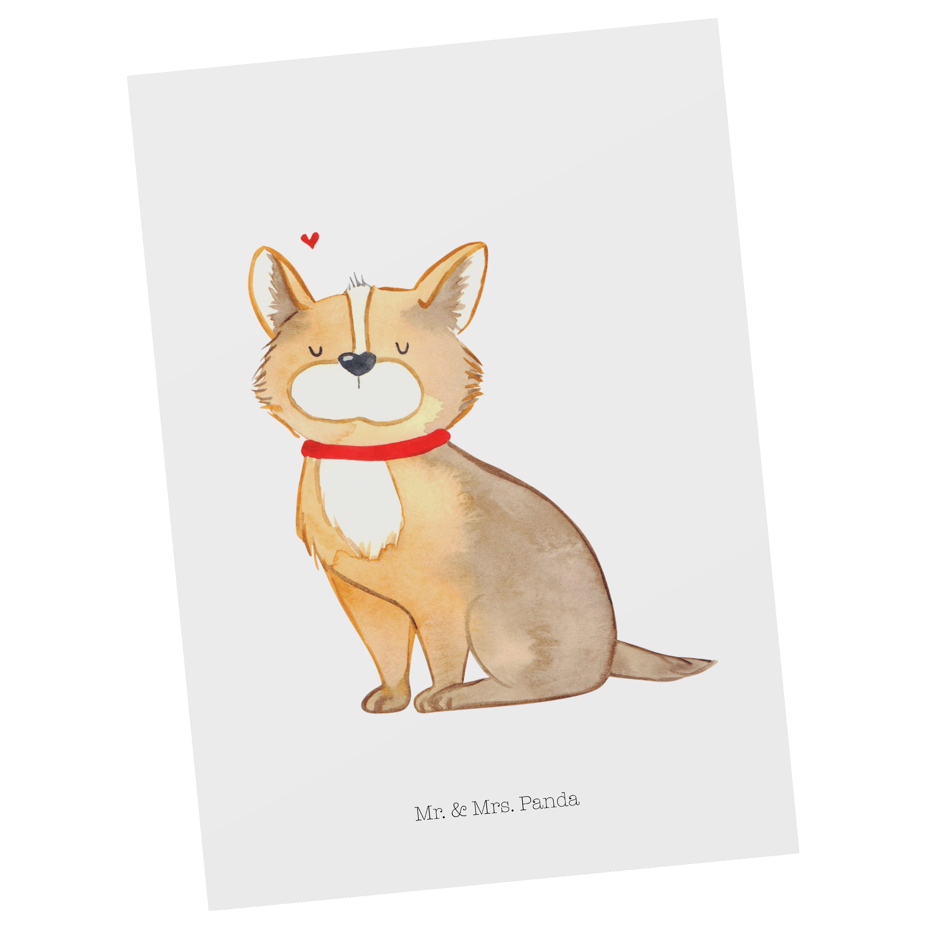Mr. & Mrs. Panda Postkarte Hundeglück - Weiß - Geschenk, Hunderasse, Dankeskarte, Grußkarte, Vie