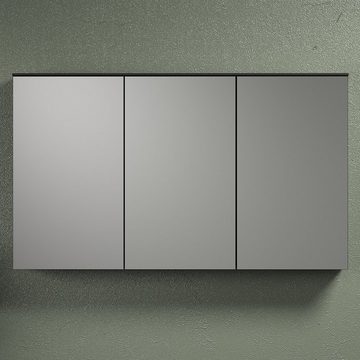 trendteam Spiegelschrank Spiegel Schrank Badspiegel Badezimmerschrank Anthrazit 120x70x17cm