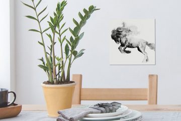 OneMillionCanvasses® Gemälde Gemälde - Pferd - Tiere - Ölfarbe - Schwarz - Weiß, (1 St), Leinwand Bilder für Wohnzimmer Schlafzimmer