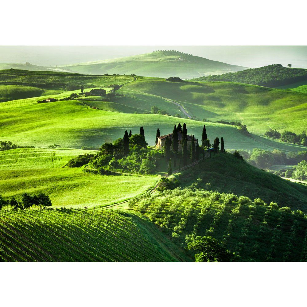 no. Landschaft Weingut liwwing Toskana Italien liwwing Fototapete 68, Sonnenaufgang Fototapete Weinberg