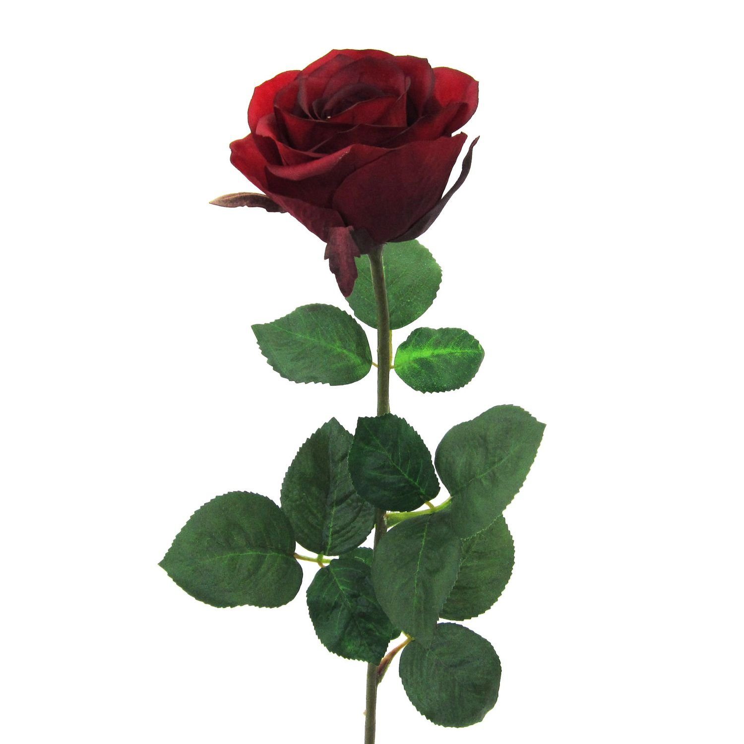 Kunstpflanze Gartenrose 68 cm Blüte: 6 cm rot Langstiel Kunstblume Kunstros günstig online kaufen