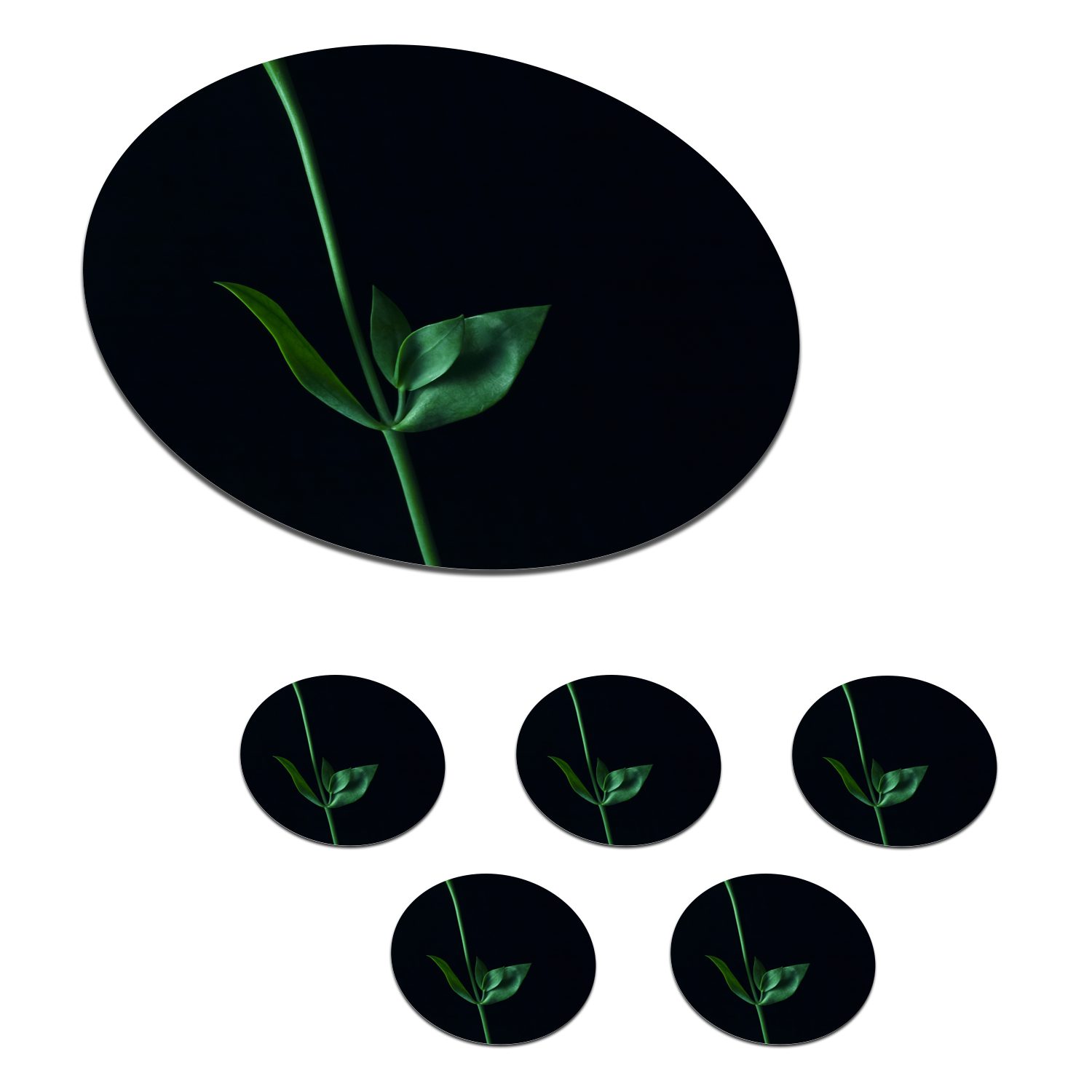 MuchoWow Glasuntersetzer Ein grüner Stiel mit zwei Blättern auf schwarzem Hintergrund, Zubehör für Gläser, 6-tlg., Getränkeuntersetzer, Tassenuntersetzer, Korkuntersetzer, Tasse, Becher