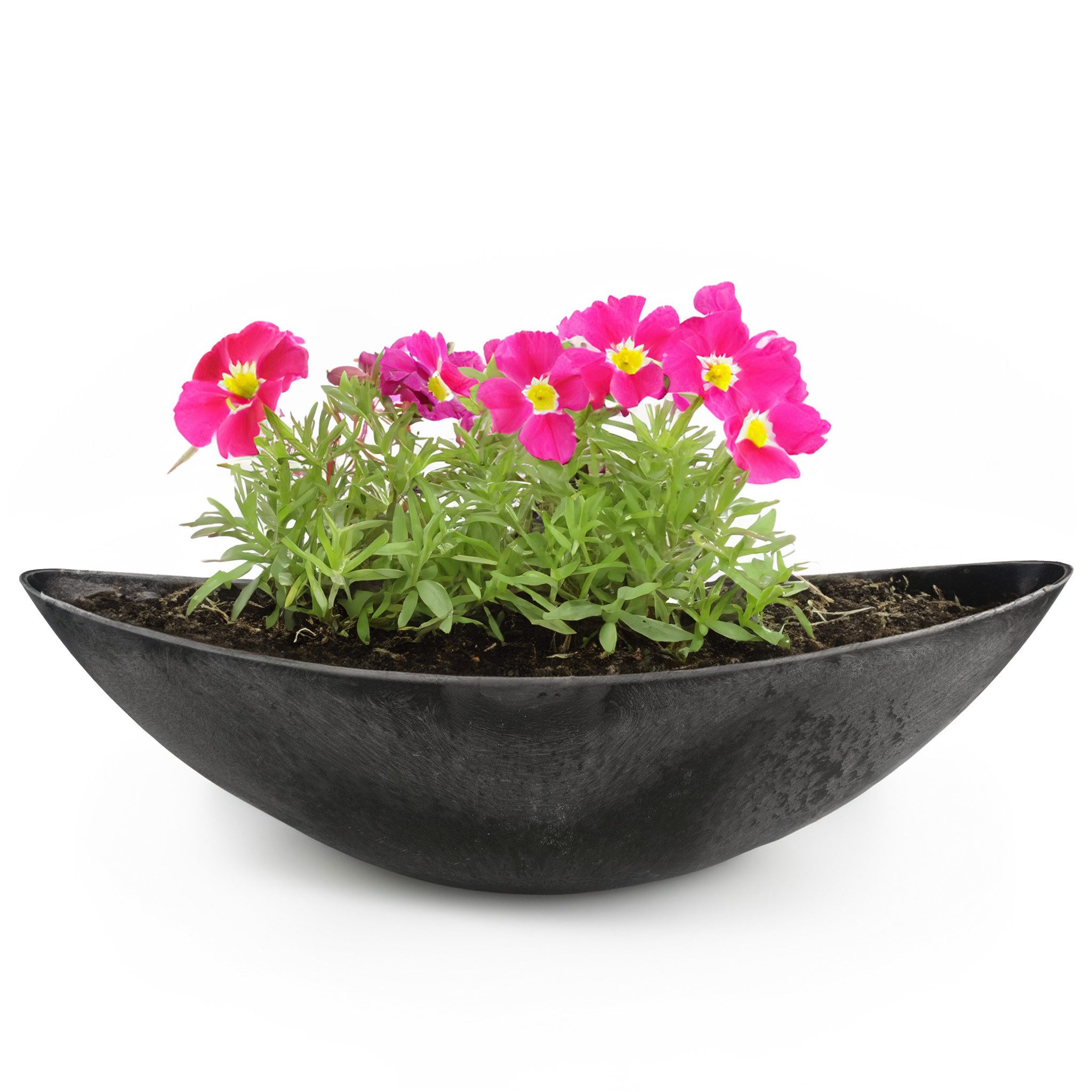 matches21 HOME & HOBBY Blumentopf Große Vintage Outdoor Pflanzschale oval 39 cm schwarz (1 St), Längliche Deko-Schale als wetterfeste Garten-Deko Blumen-Schale
