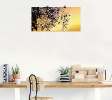 Artland Wandbild Pusteblume mit Tautropfen benetzt, Blumen (1 St), als Leinwandbild, Poster in verschied. Größen