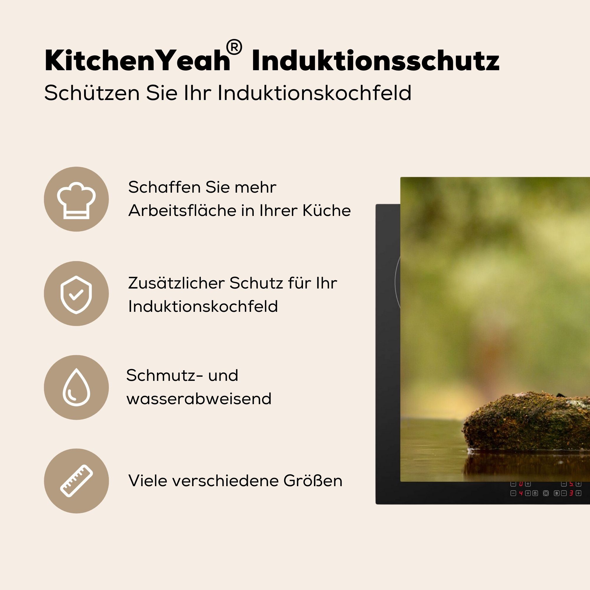 Herdblende-/Abdeckplatte - Elster Moos, MuchoWow Vogel küche für (1 Arbeitsplatte Vinyl, - 81x52 Ceranfeldabdeckung, tlg), cm,
