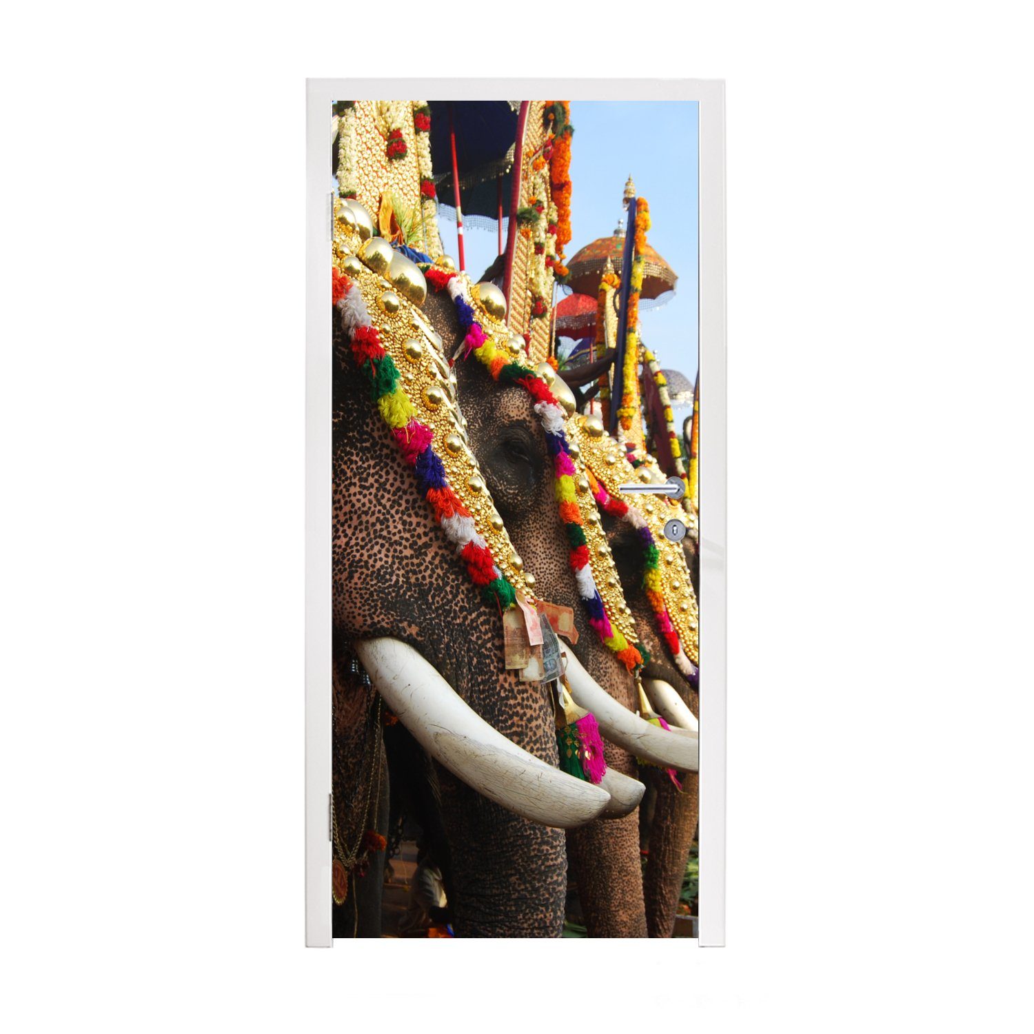 MuchoWow Türtapete Elefant - Parade - Tiere, Matt, bedruckt, (1 St), Fototapete für Tür, Türaufkleber, 75x205 cm