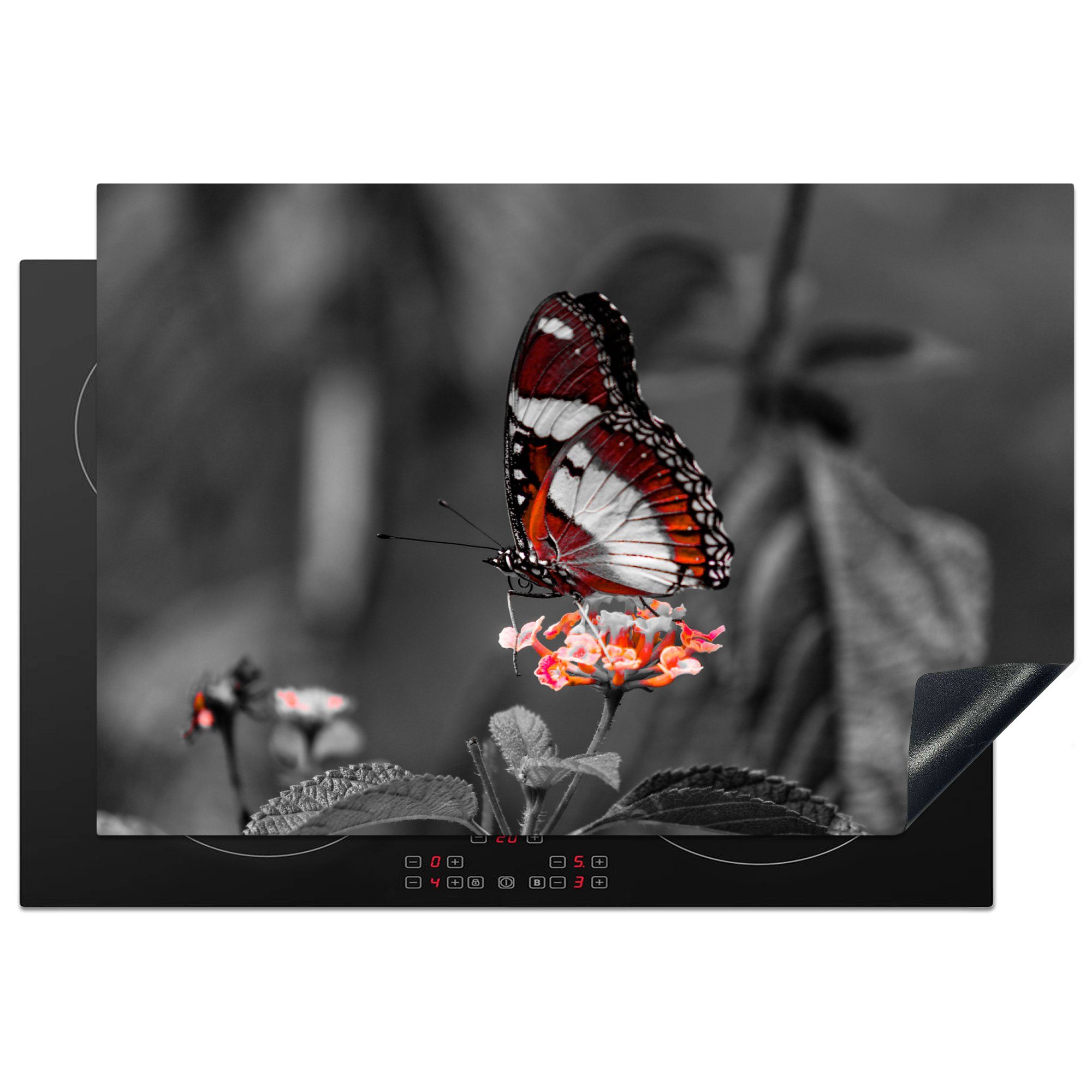 Blumen für Herdblende-/Abdeckplatte Schwarz weiß - Orange, tlg), - Schmetterling Tiere Arbeitsplatte küche - Ceranfeldabdeckung, und (1 - MuchoWow cm, 77x51 Vinyl,