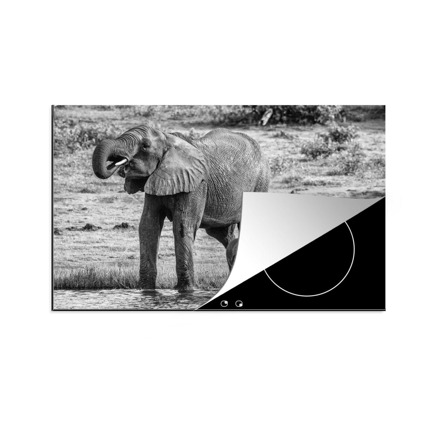 Elefant MuchoWow küche, - cm, Ceranfeldabdeckung Weiß, die - Vinyl, Wasser für Induktionskochfeld Schwarz Tiere - 81x52 tlg), Herdblende-/Abdeckplatte - Schutz (1