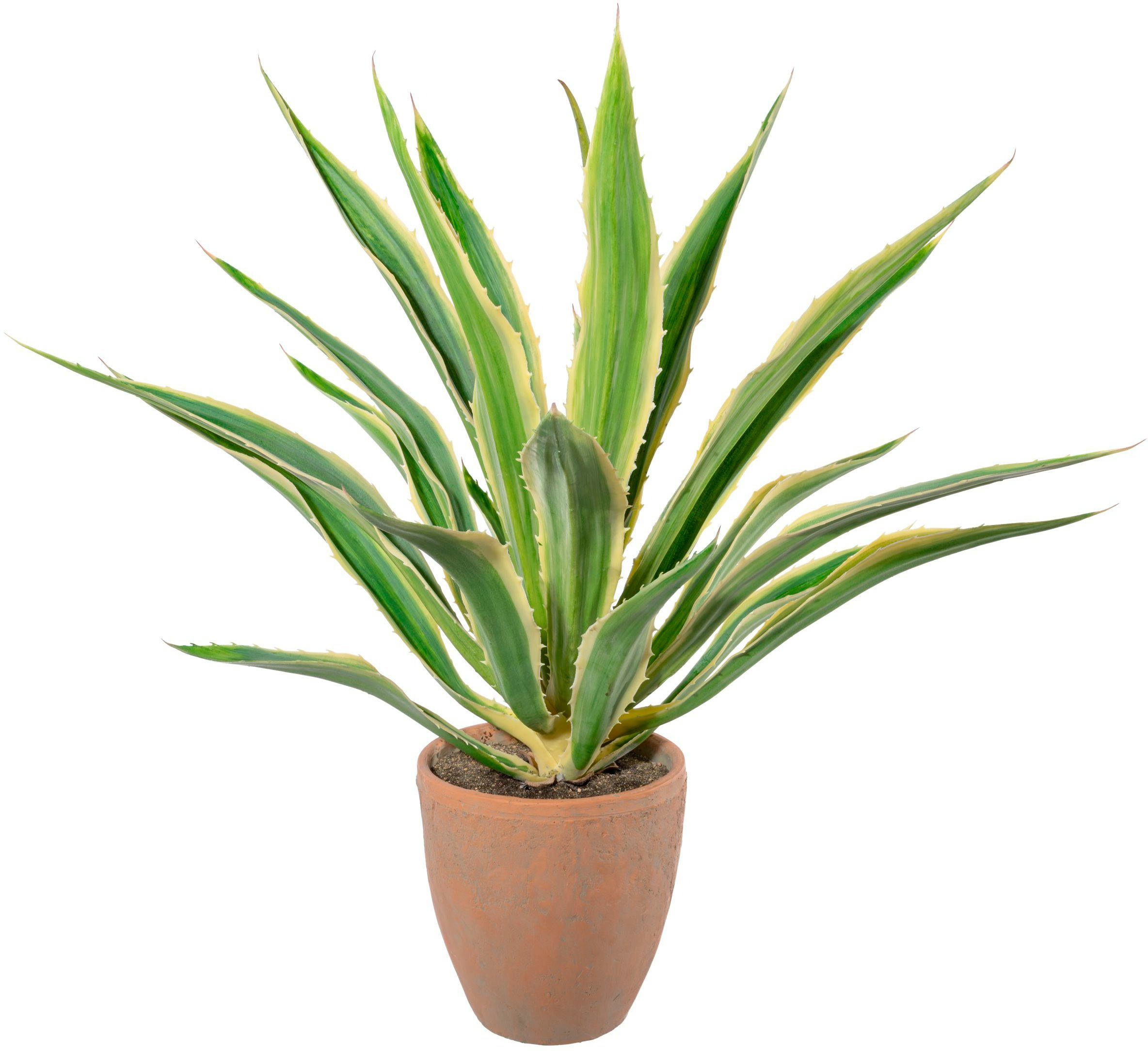 Künstliche Zimmerpflanze Agave im Terracottatopf