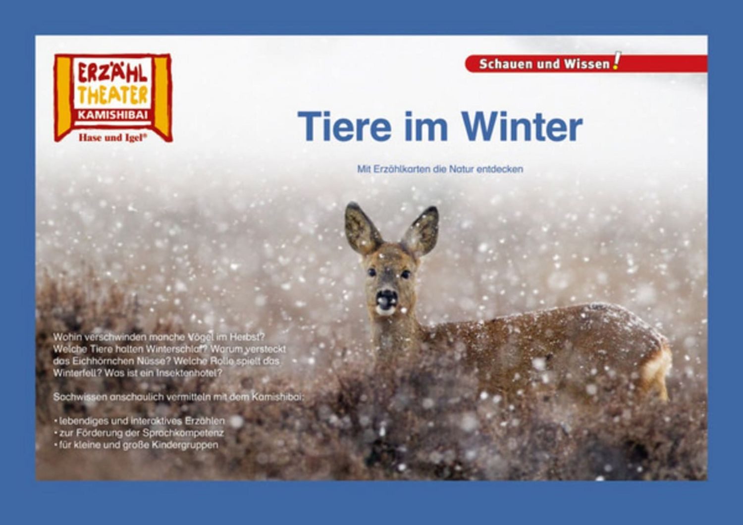 Tiere im Winter / Kamishibai Bildkarten / Verena Sangu