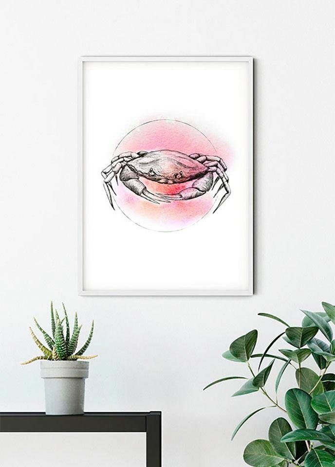 Komar Poster Crab St), Wohnzimmer Tiere Kinderzimmer, Schlafzimmer, (1 Watercolor