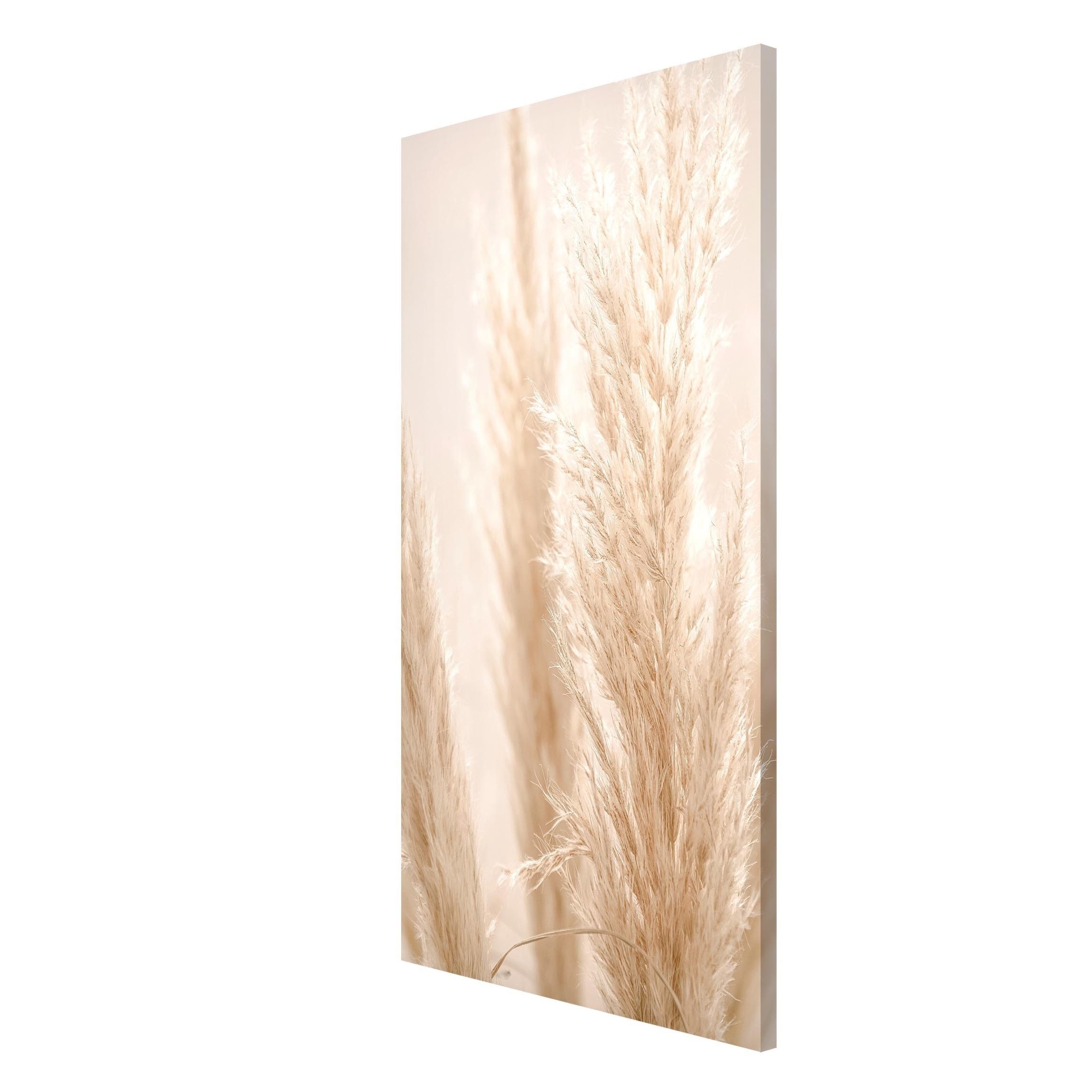Bilderdepot24 Magnettafel Küche beige Pampasgras im Sonnenlicht, (1-tlg., Magnetboard Pinnwand für die Wand - metallische Tafel für Magnete), Magnetwand groß mit Motiv Büro Memoboard magnetisch Hochformat