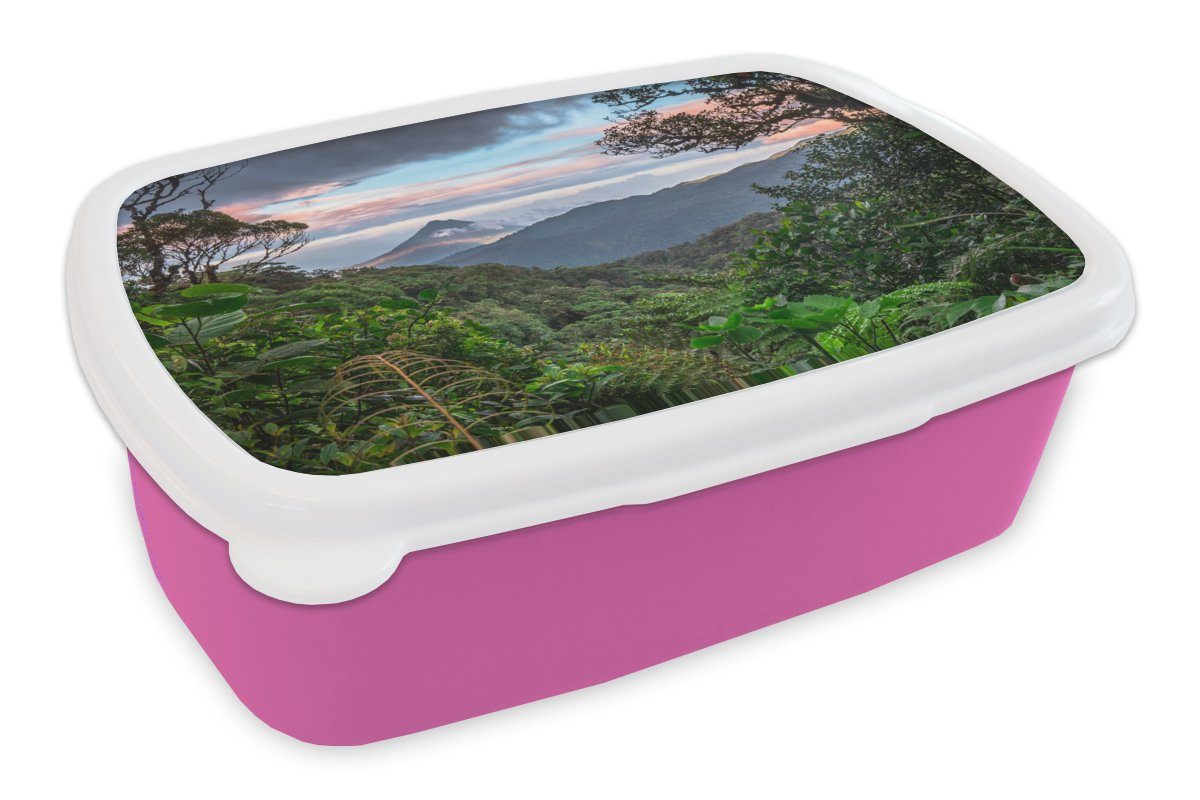 MuchoWow Lunchbox Dschungel - Berge - Costa Rica - Jungen - Mädchen - Kinder, Kunststoff, (2-tlg), Brotbox für Erwachsene, Brotdose Kinder, Snackbox, Mädchen, Kunststoff rosa